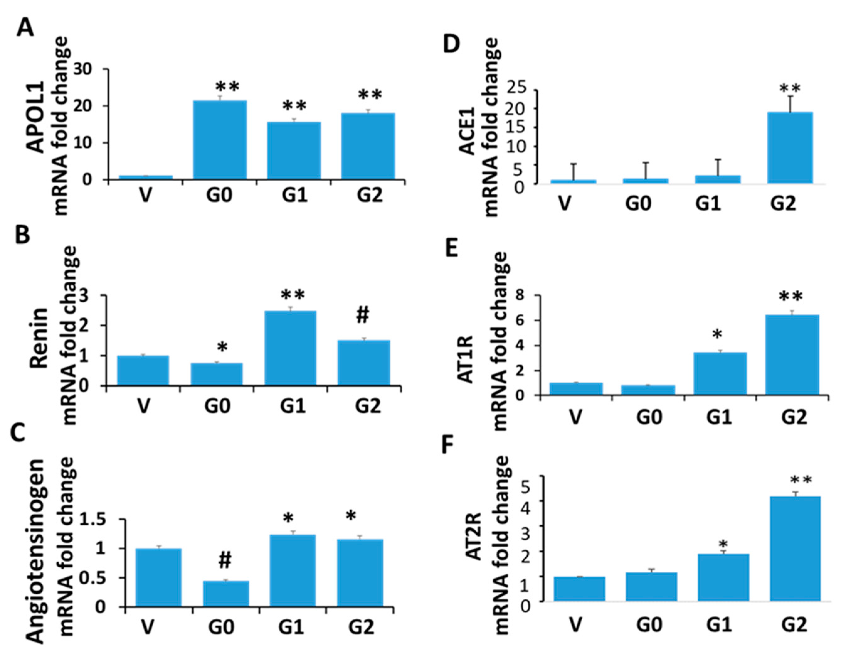 Biomolecules 14 01575 g004