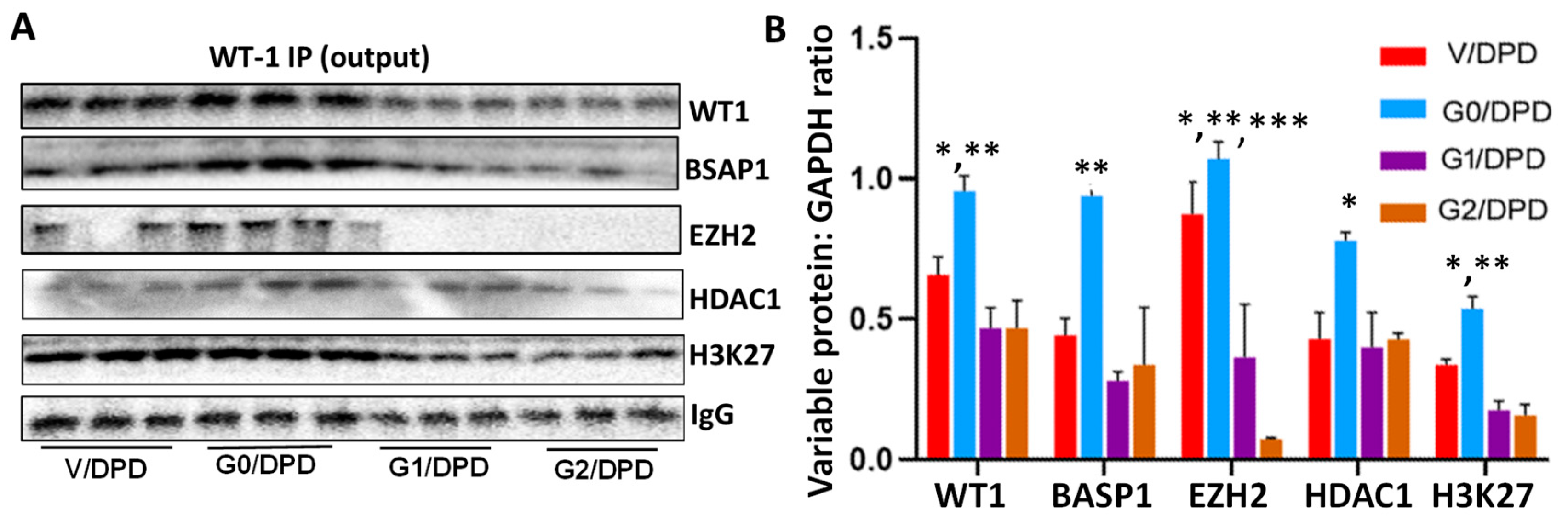 Biomolecules 14 01575 g007