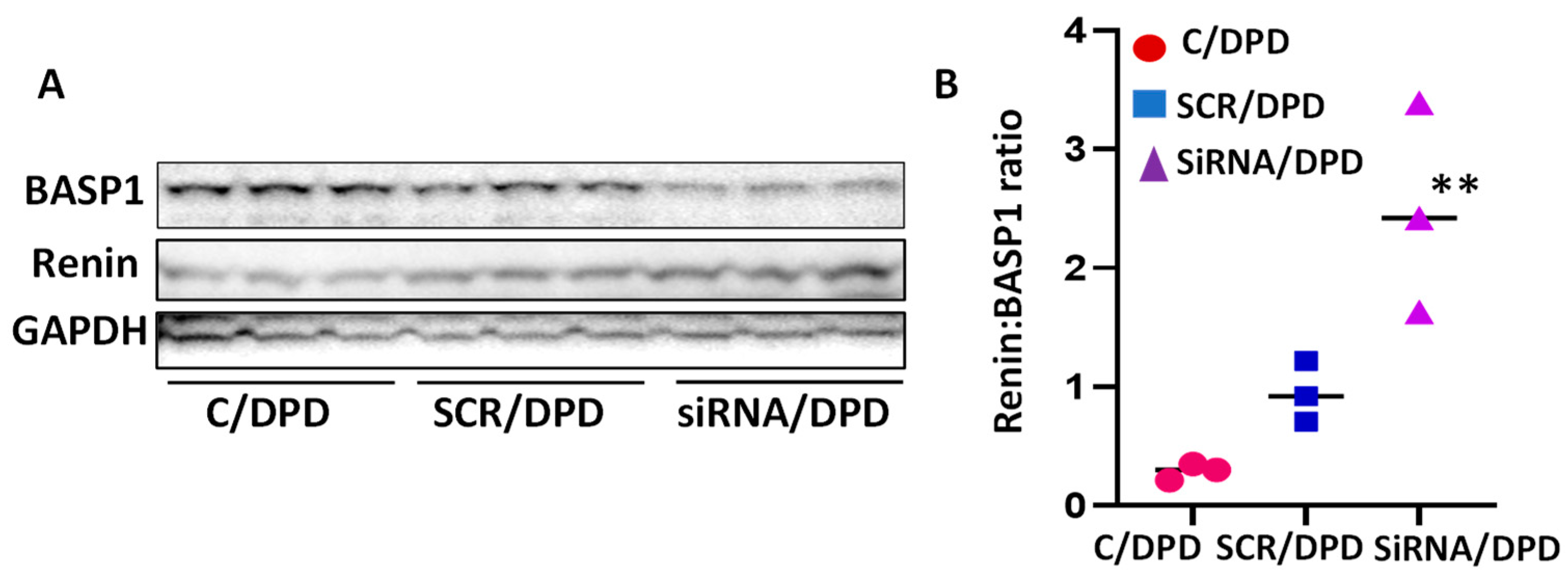 Biomolecules 14 01575 g008