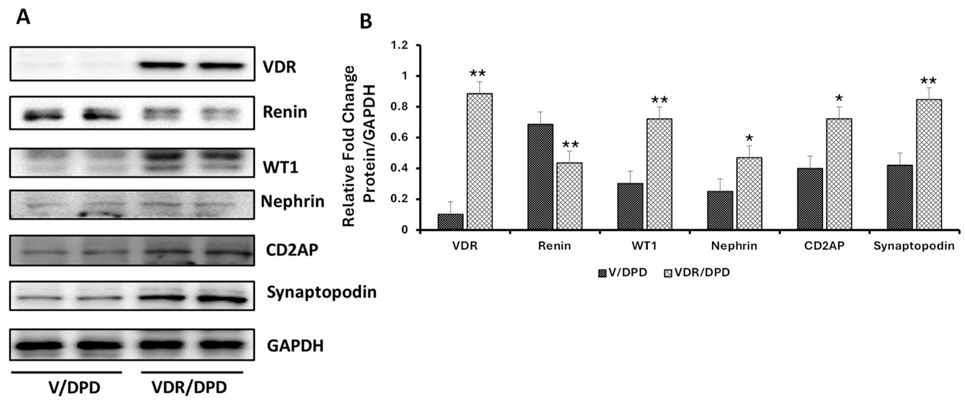 Biomolecules 14 01575 g009