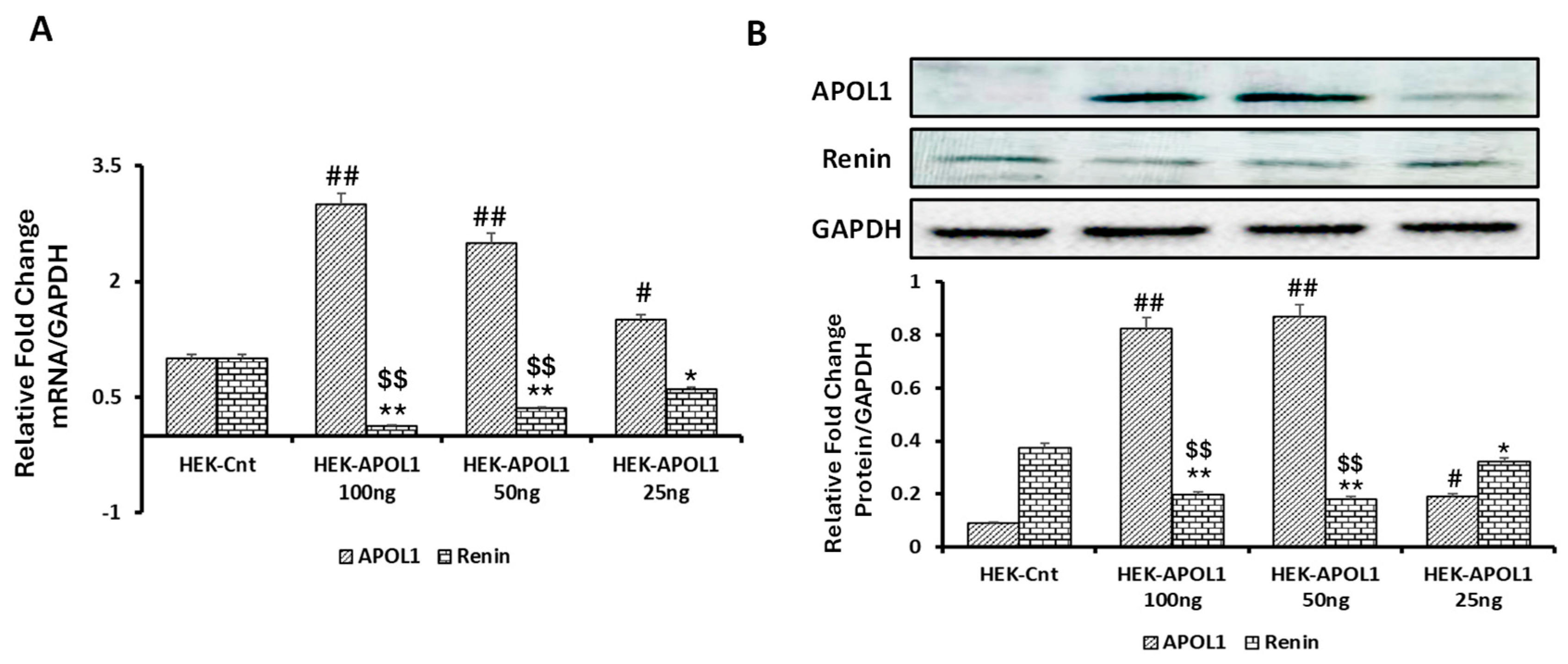 Biomolecules 14 01575 g010