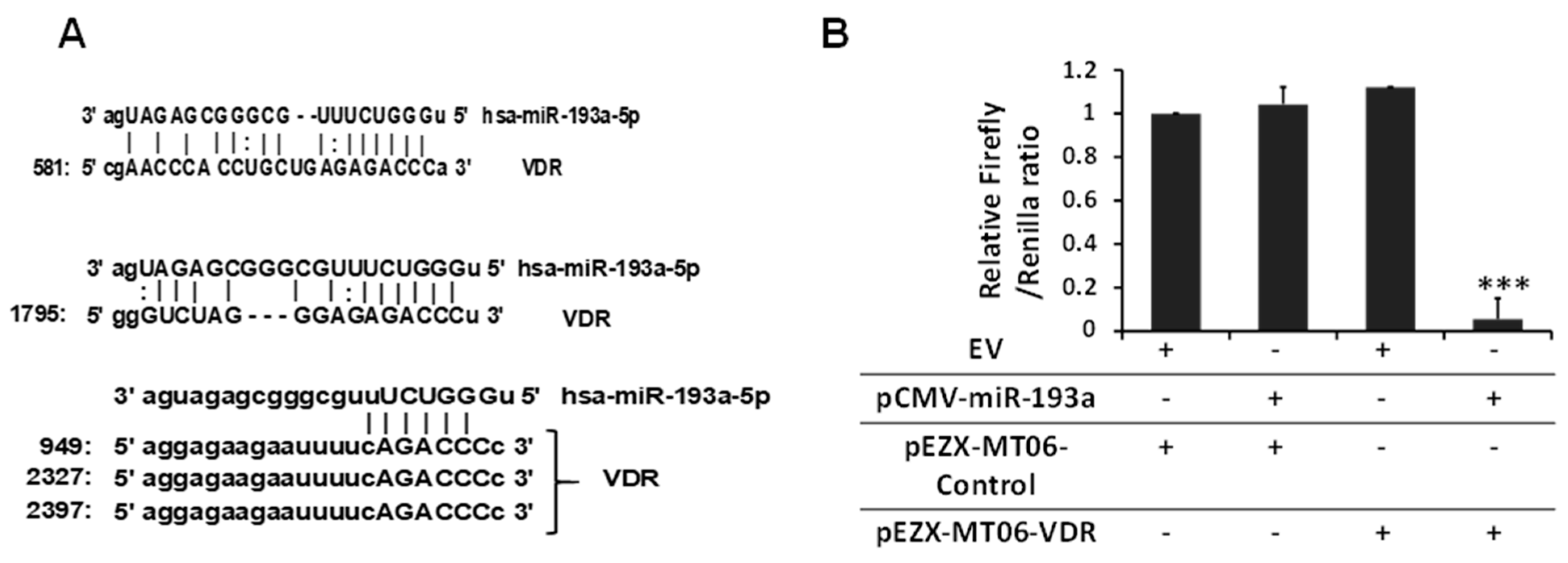 Biomolecules 14 01575 g011