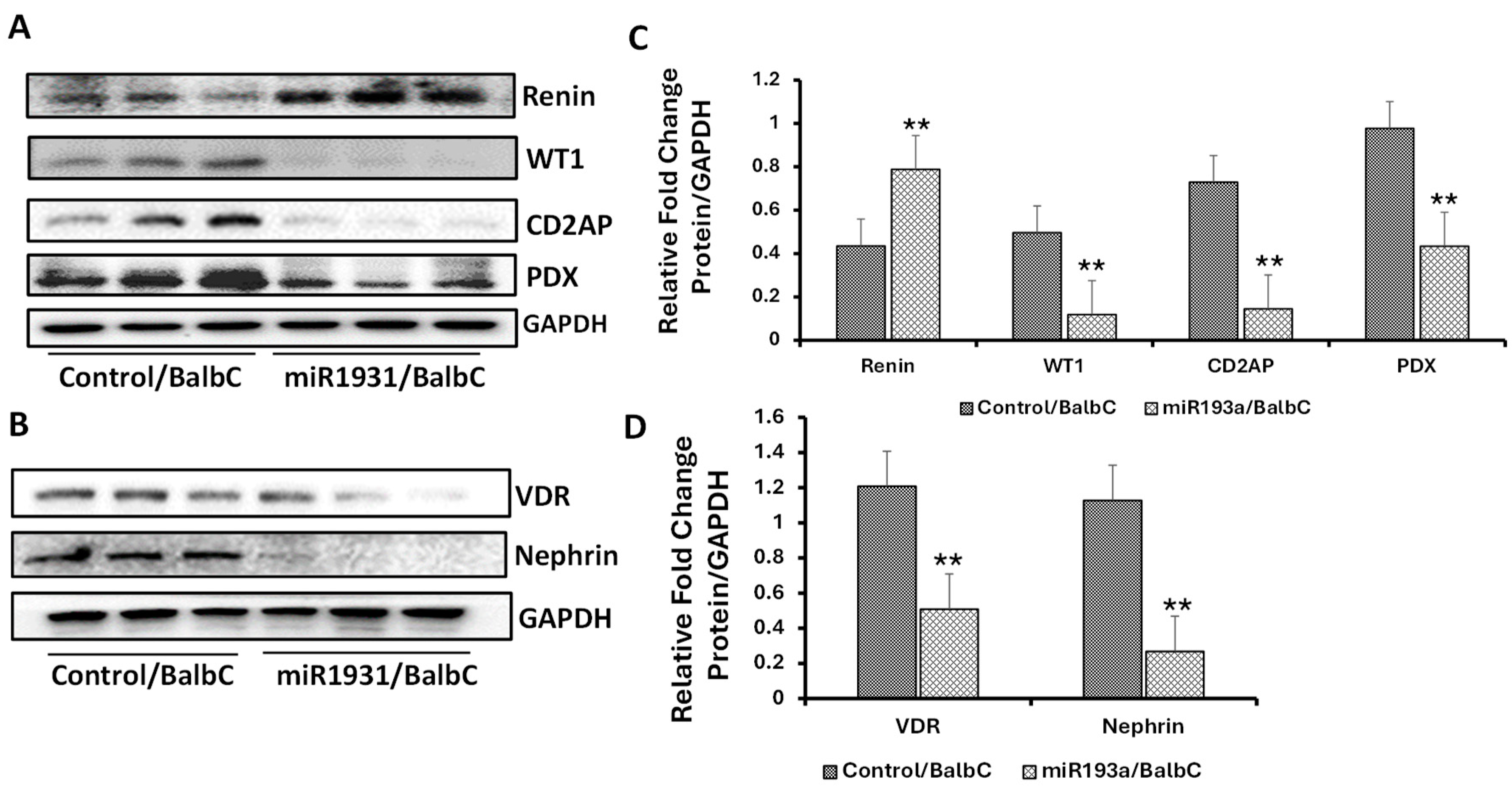 Biomolecules 14 01575 g013