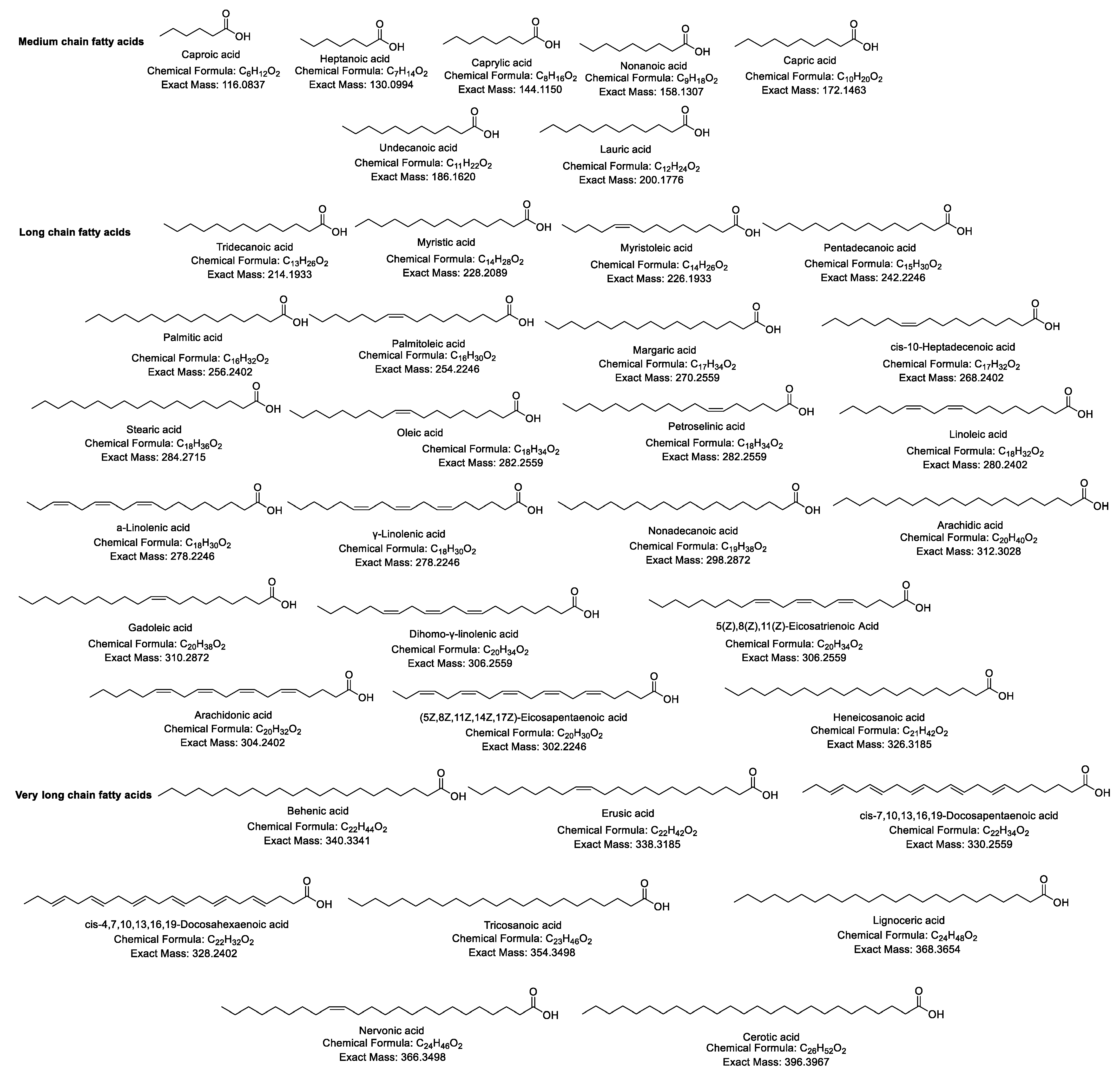 Biomolecules 14 01602 g001