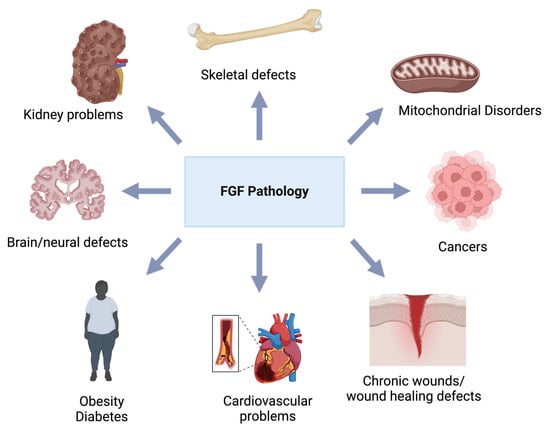 Biomolecules 14 01622 g004