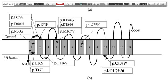 Biomolecules 14 01626 g002