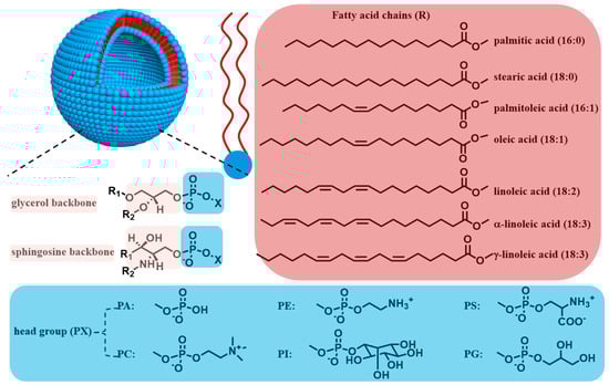 Biomolecules 14 01628 g001