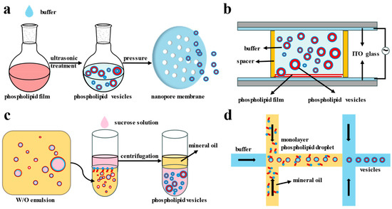 Biomolecules 14 01628 g002
