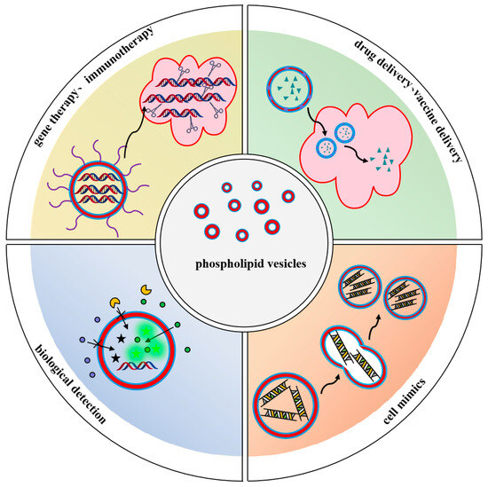 Biomolecules 14 01628 g003
