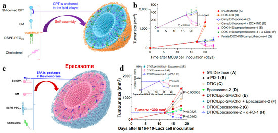 Biomolecules 14 01628 g008