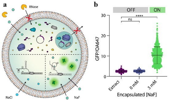 Biomolecules 14 01628 g009