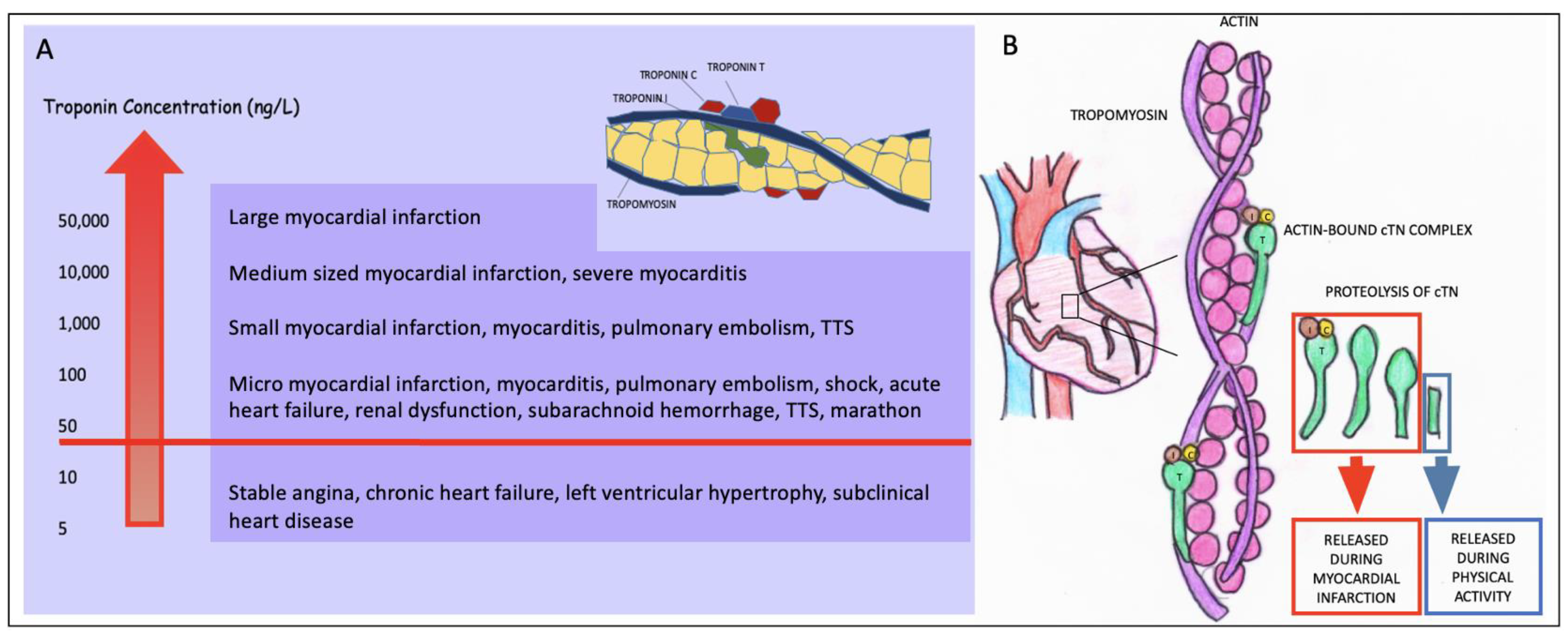 Biomolecules 14 01630 g001