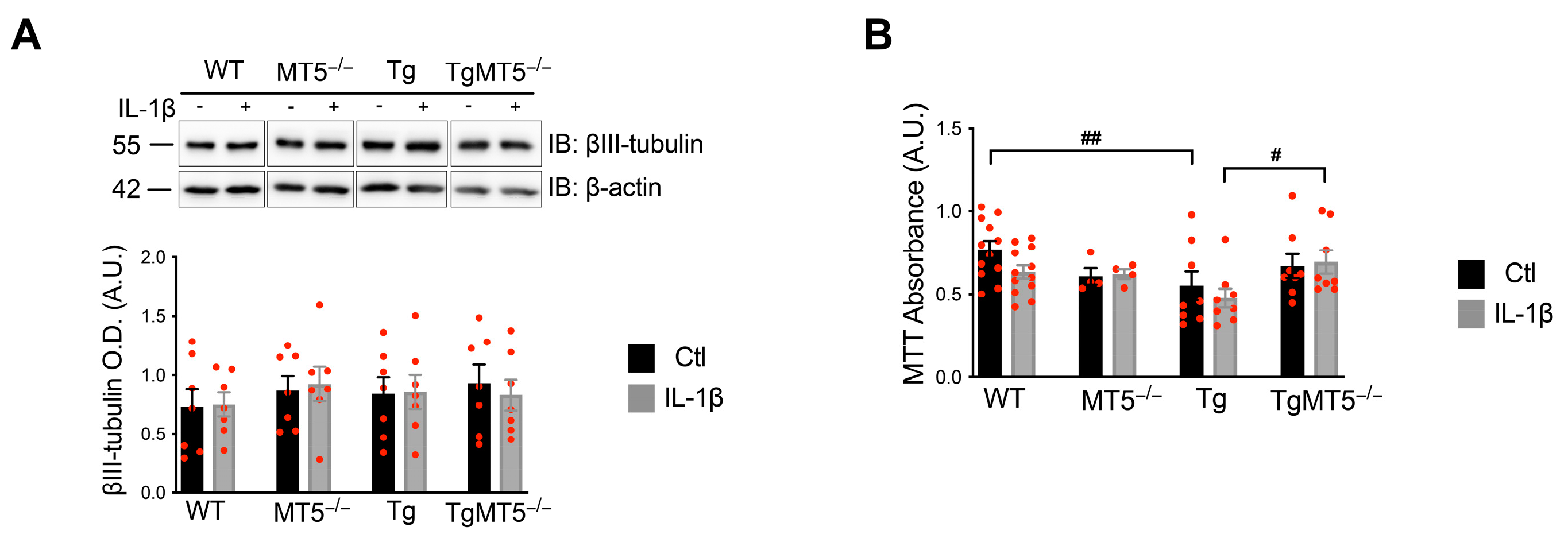 Biomolecules 14 01645 g001
