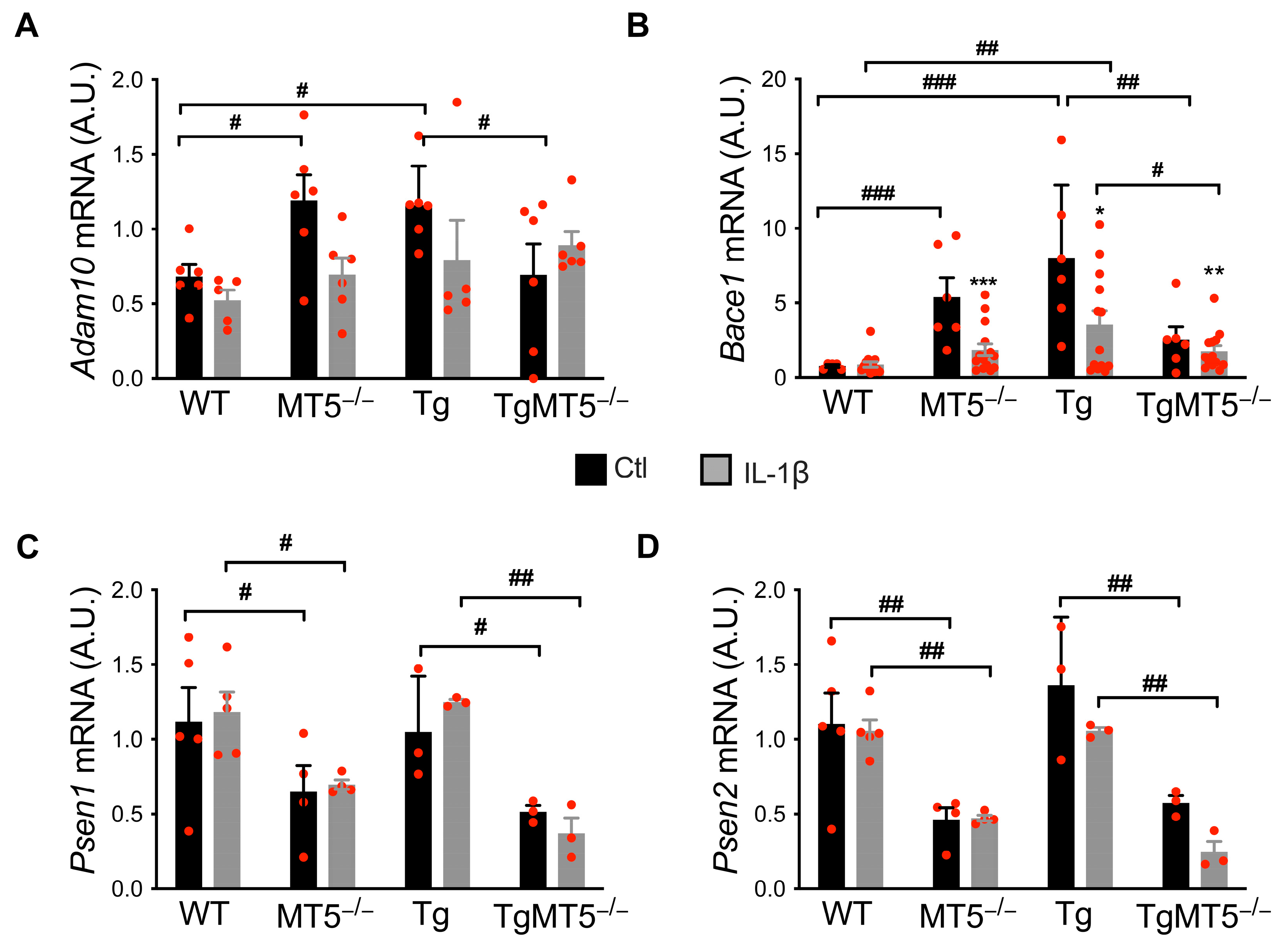 Biomolecules 14 01645 g007