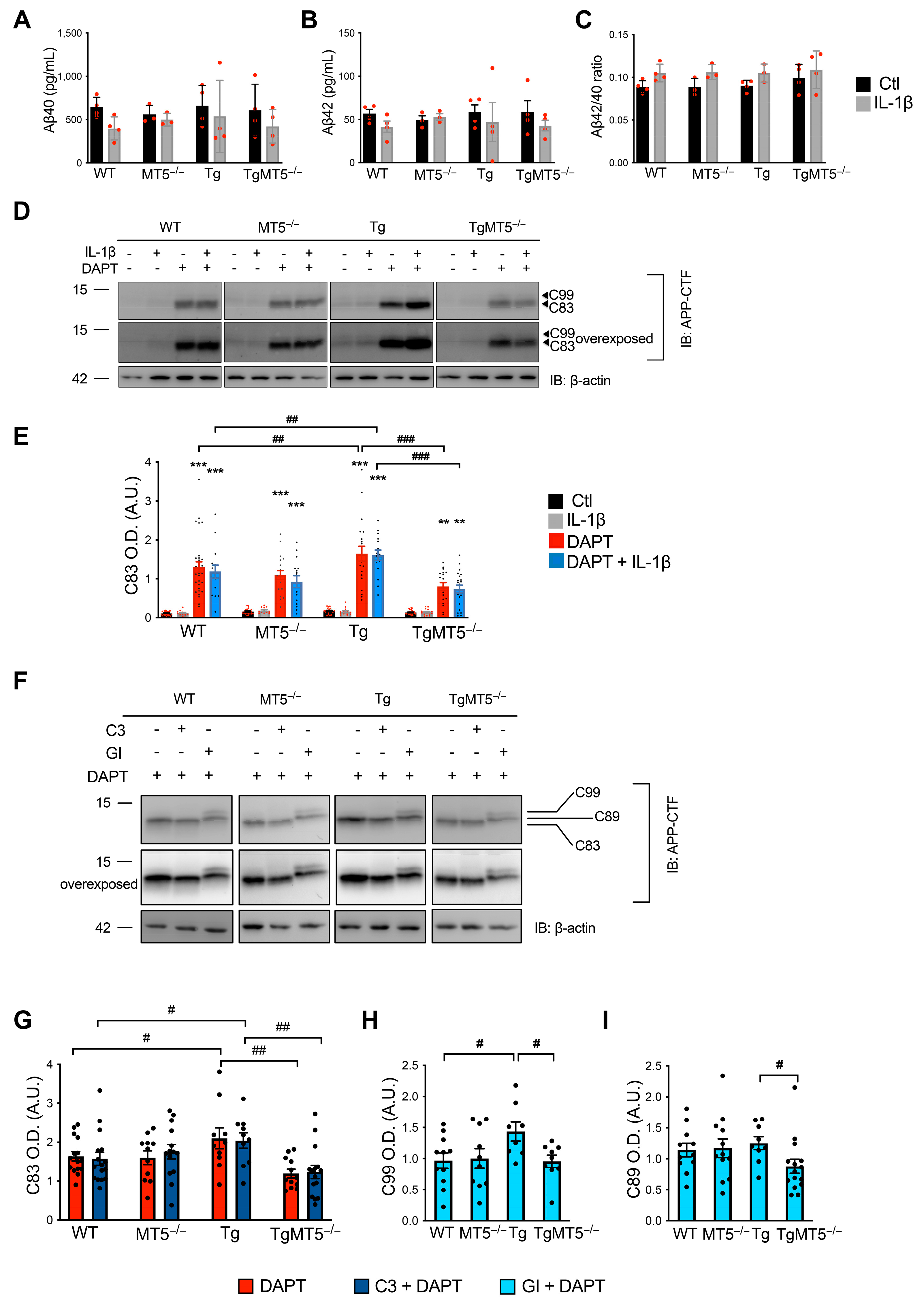 Biomolecules 14 01645 g008