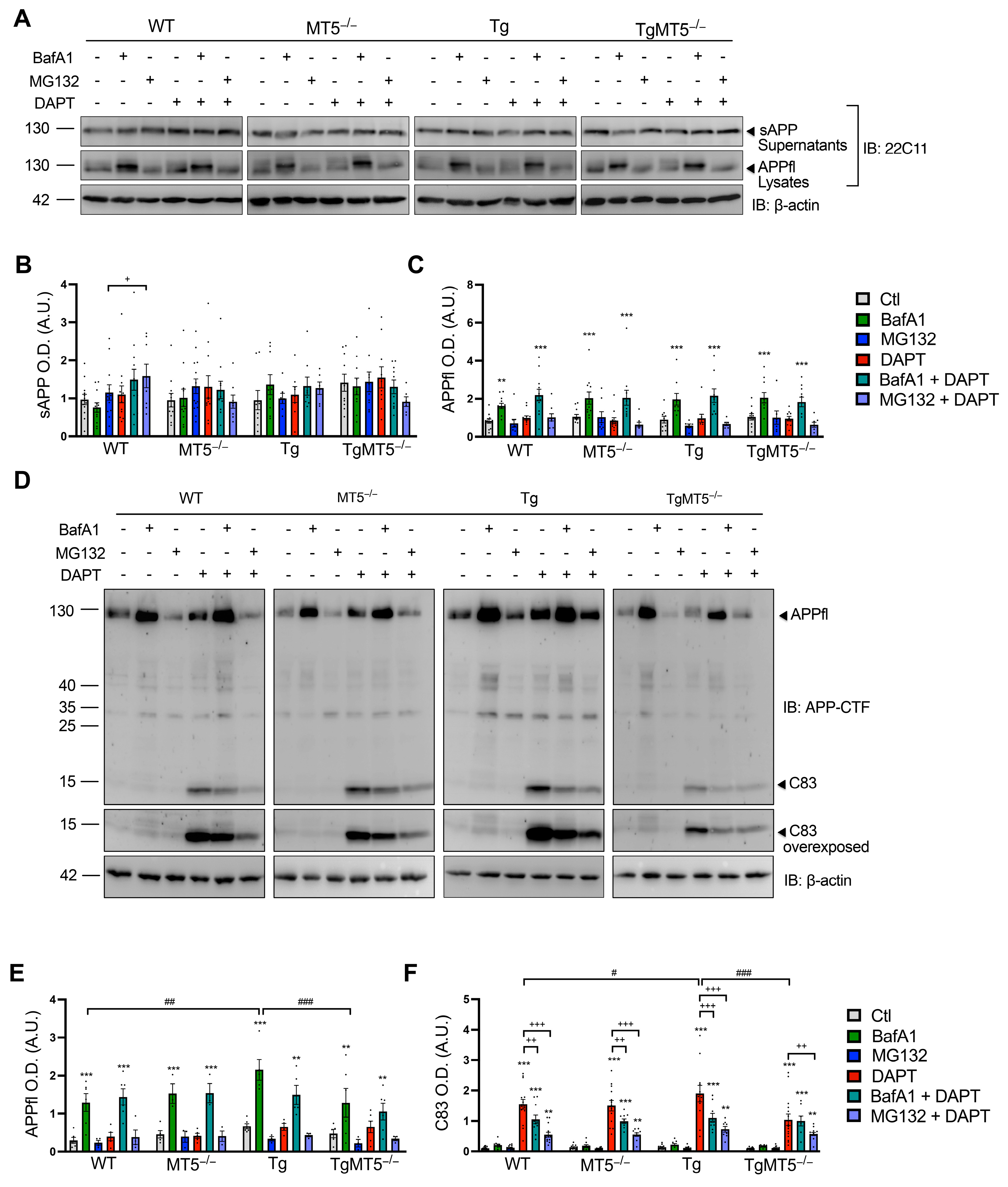 Biomolecules 14 01645 g009