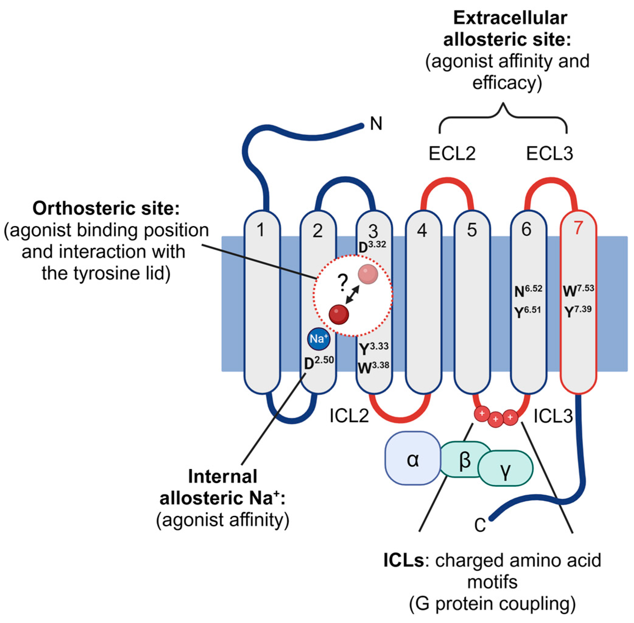 Biomolecules 14 01652 g001