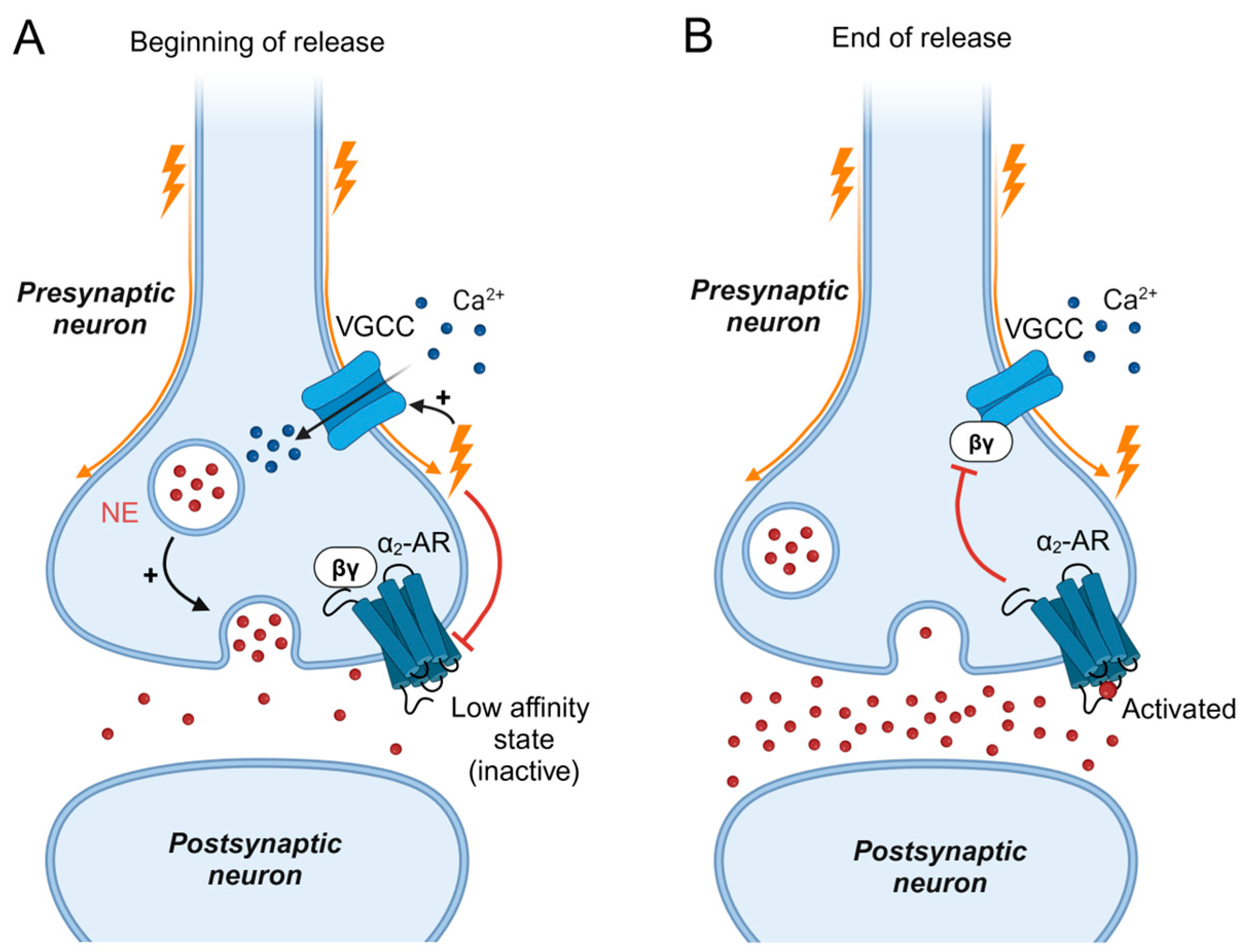Biomolecules 14 01652 g002