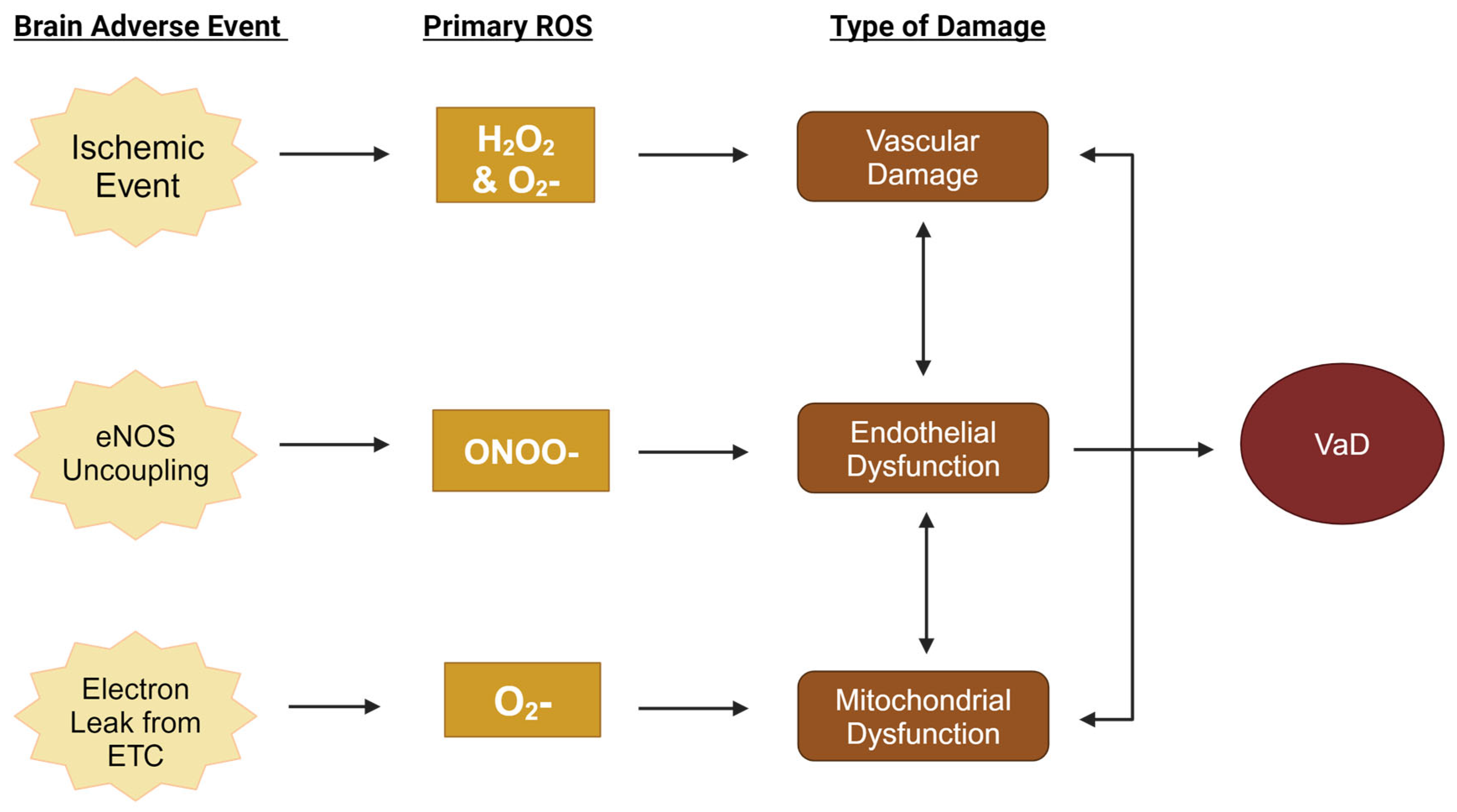 Biomolecules 15 00006 g001