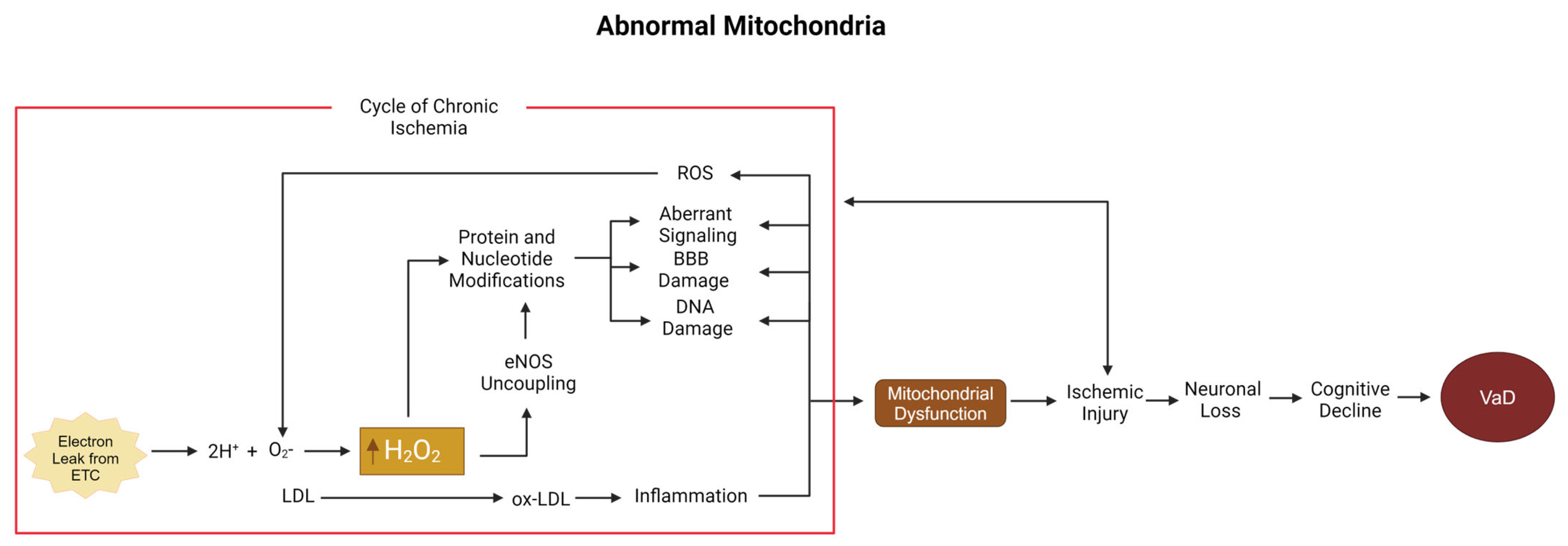 Biomolecules 15 00006 g002