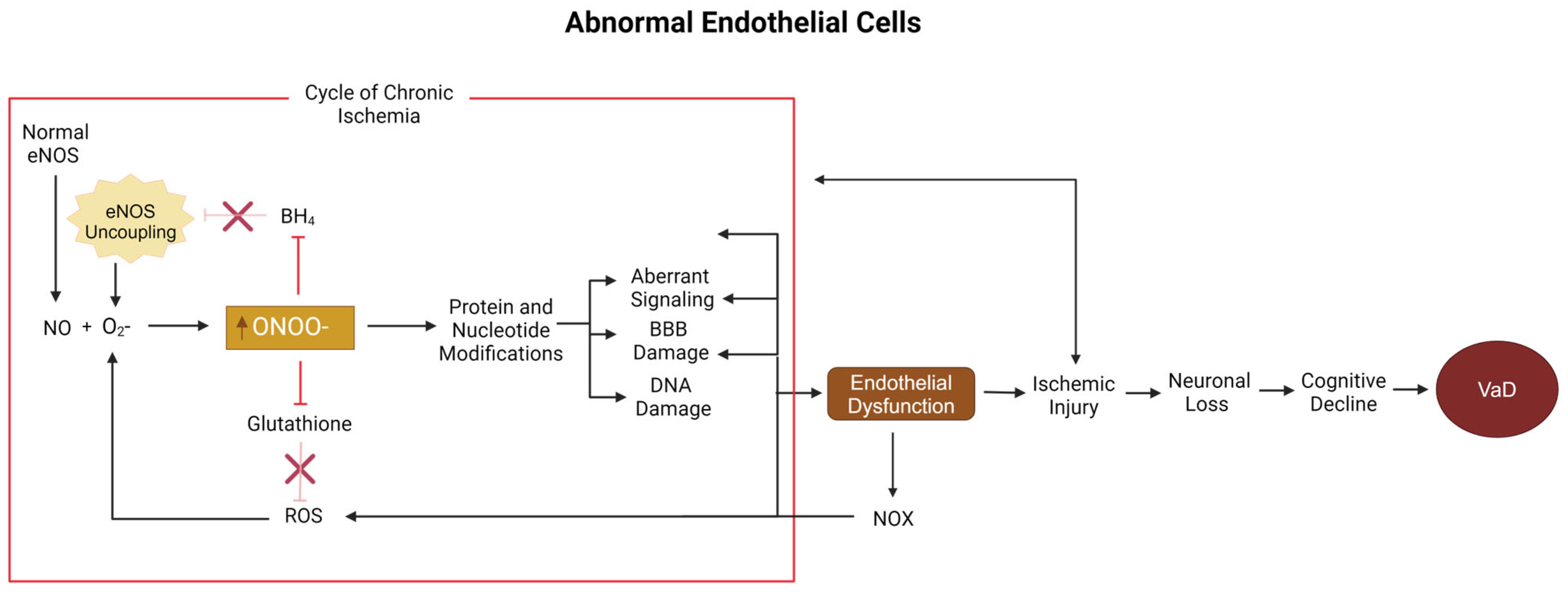 Biomolecules 15 00006 g003