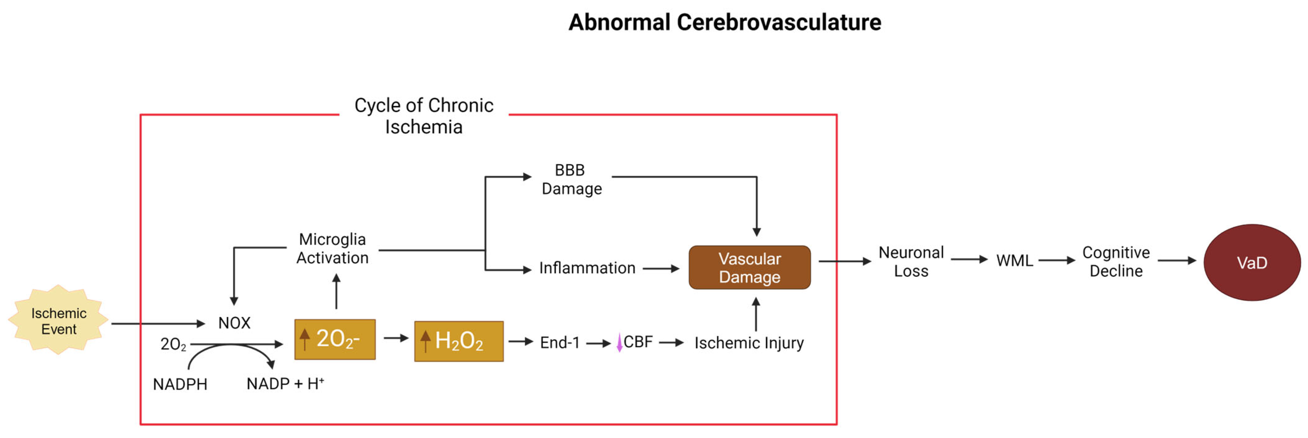 Biomolecules 15 00006 g004