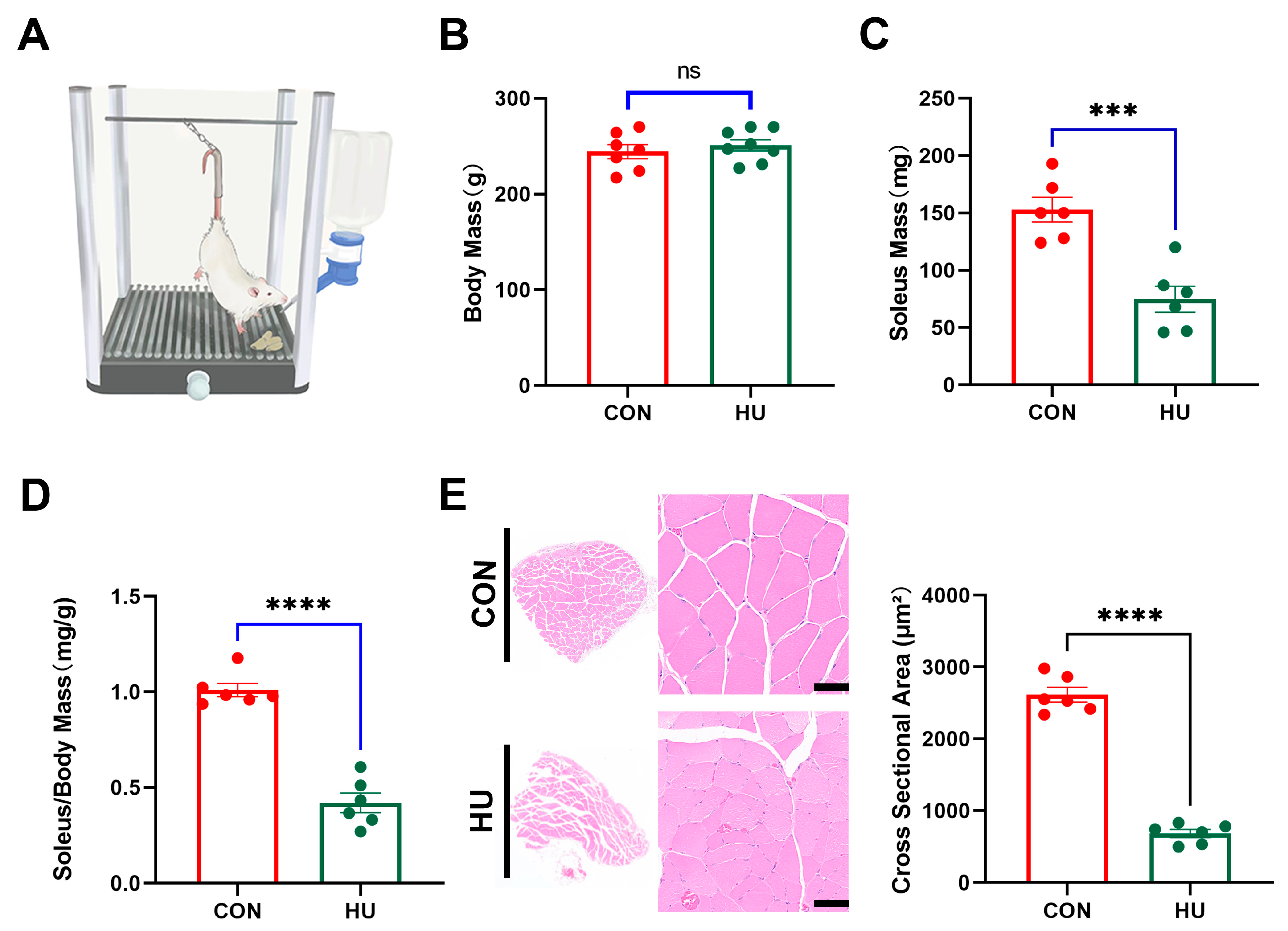 Biomolecules 15 00014 g001