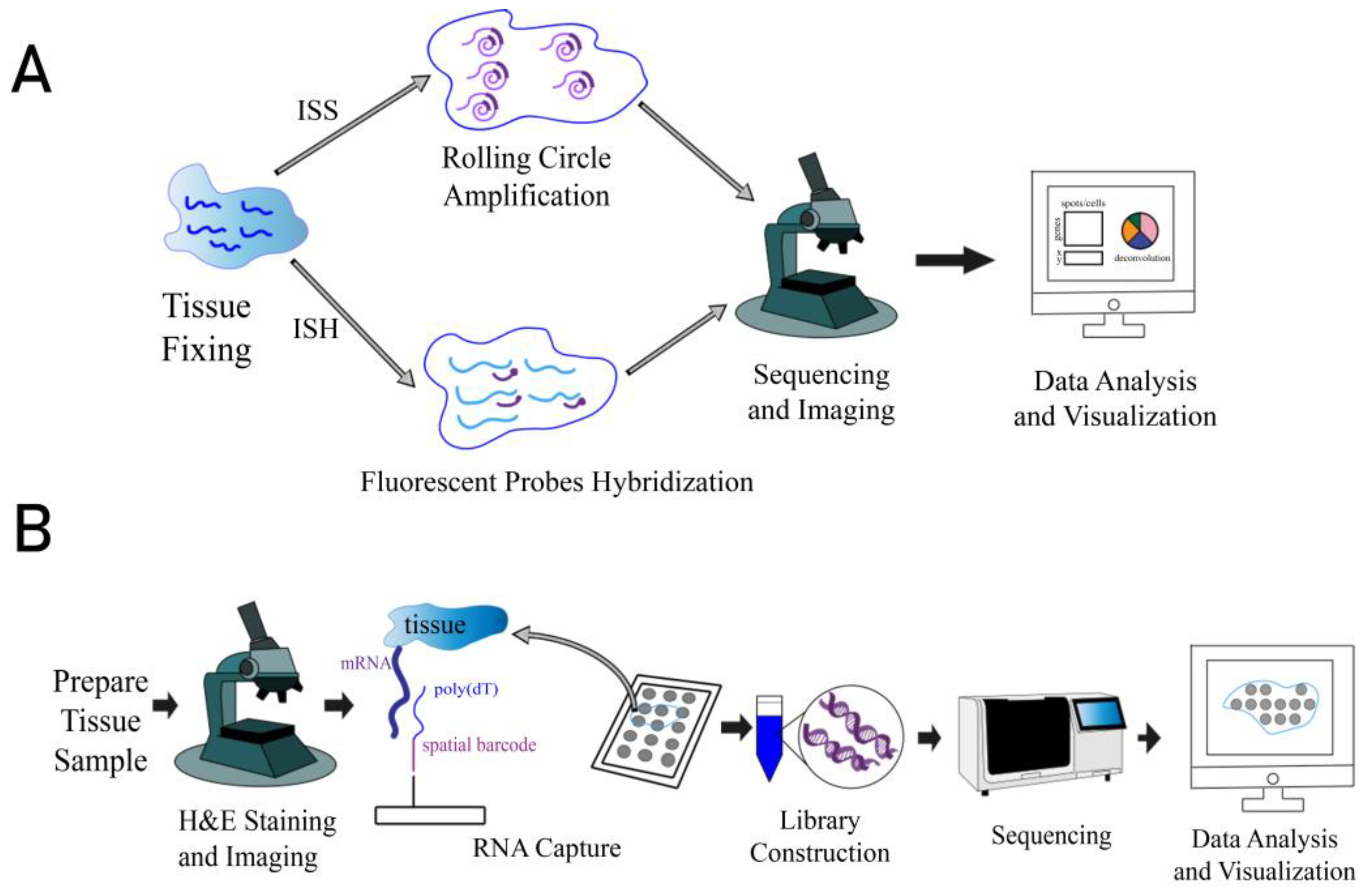Biomolecules 15 00021 g001