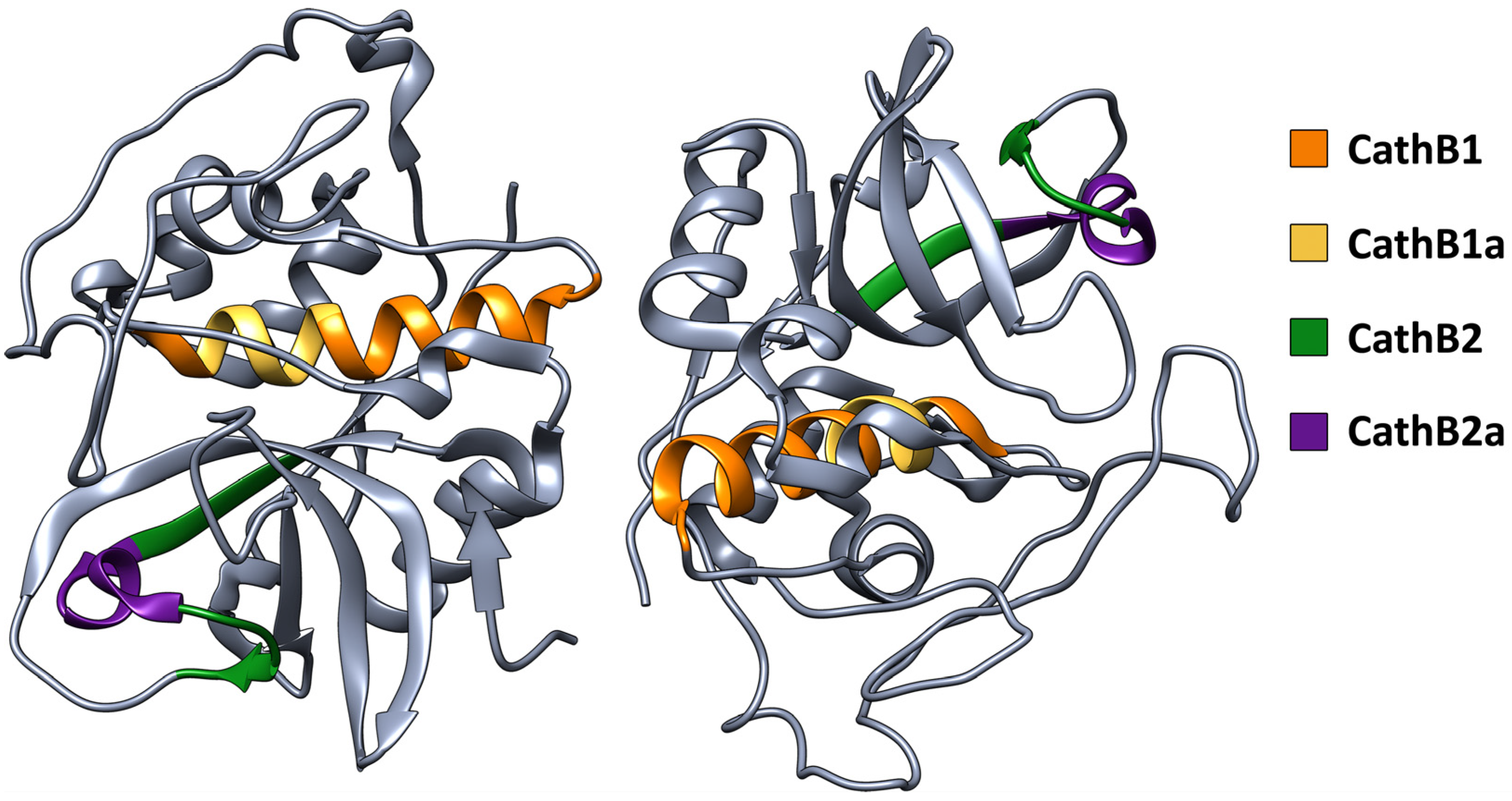 Biomolecules 15 00028 g002