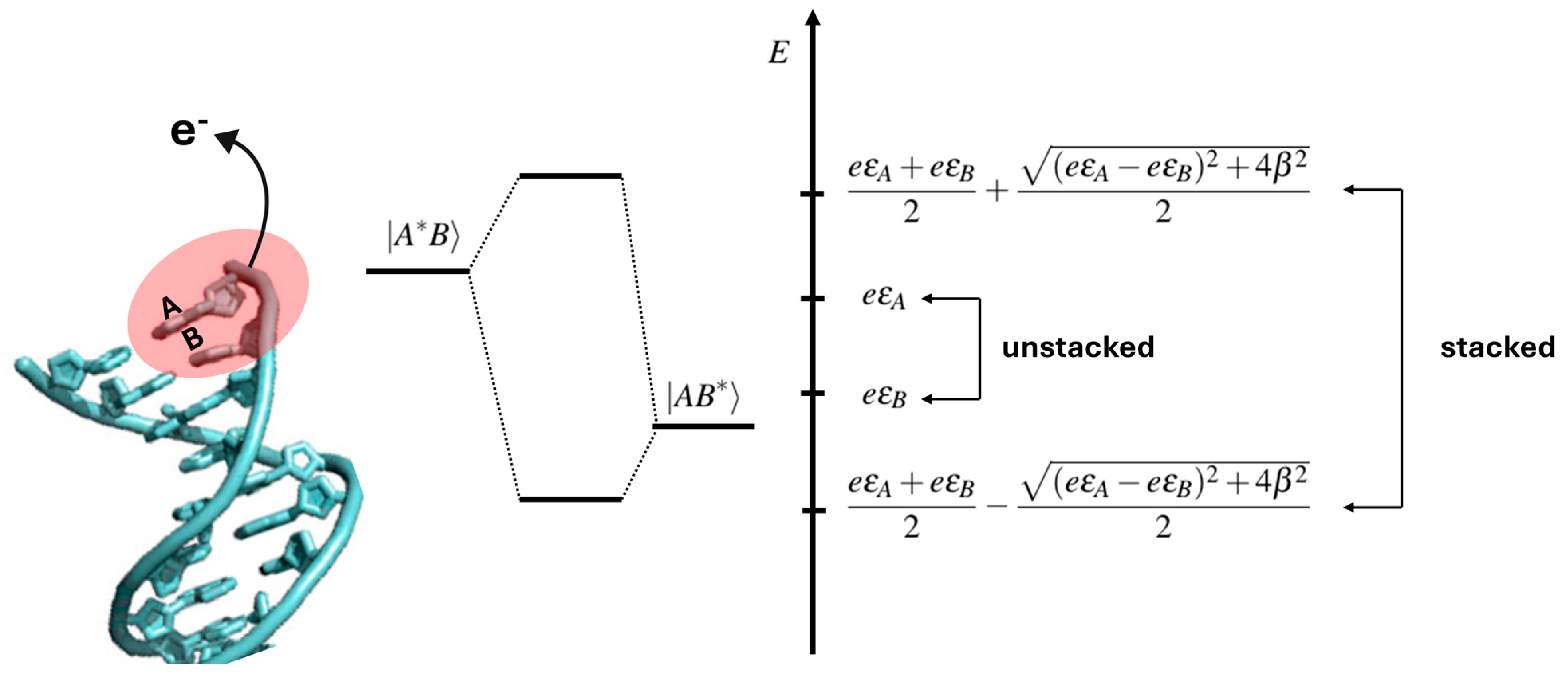 Biomolecules 15 00029 g003