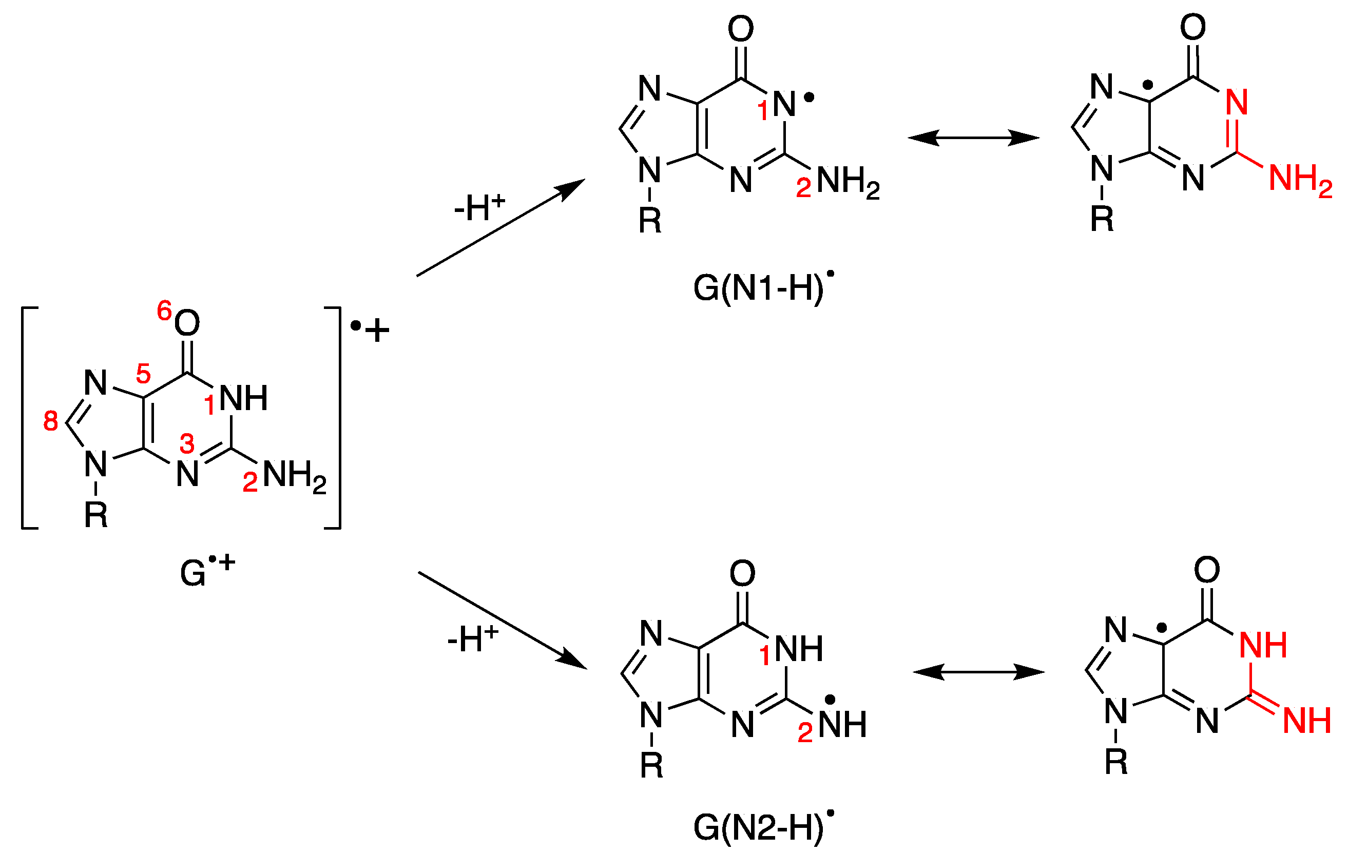 Biomolecules 15 00029 g007
