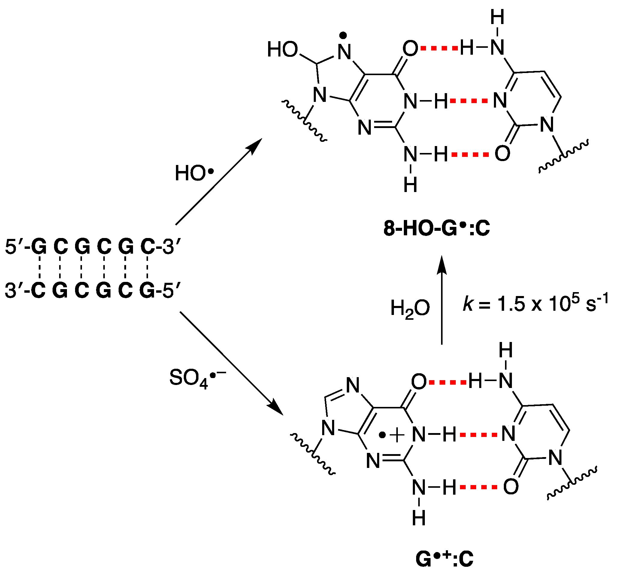 Biomolecules 15 00029 g009
