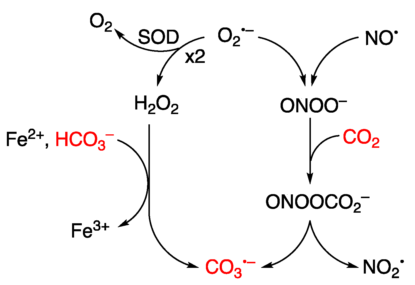 Biomolecules 15 00029 g010