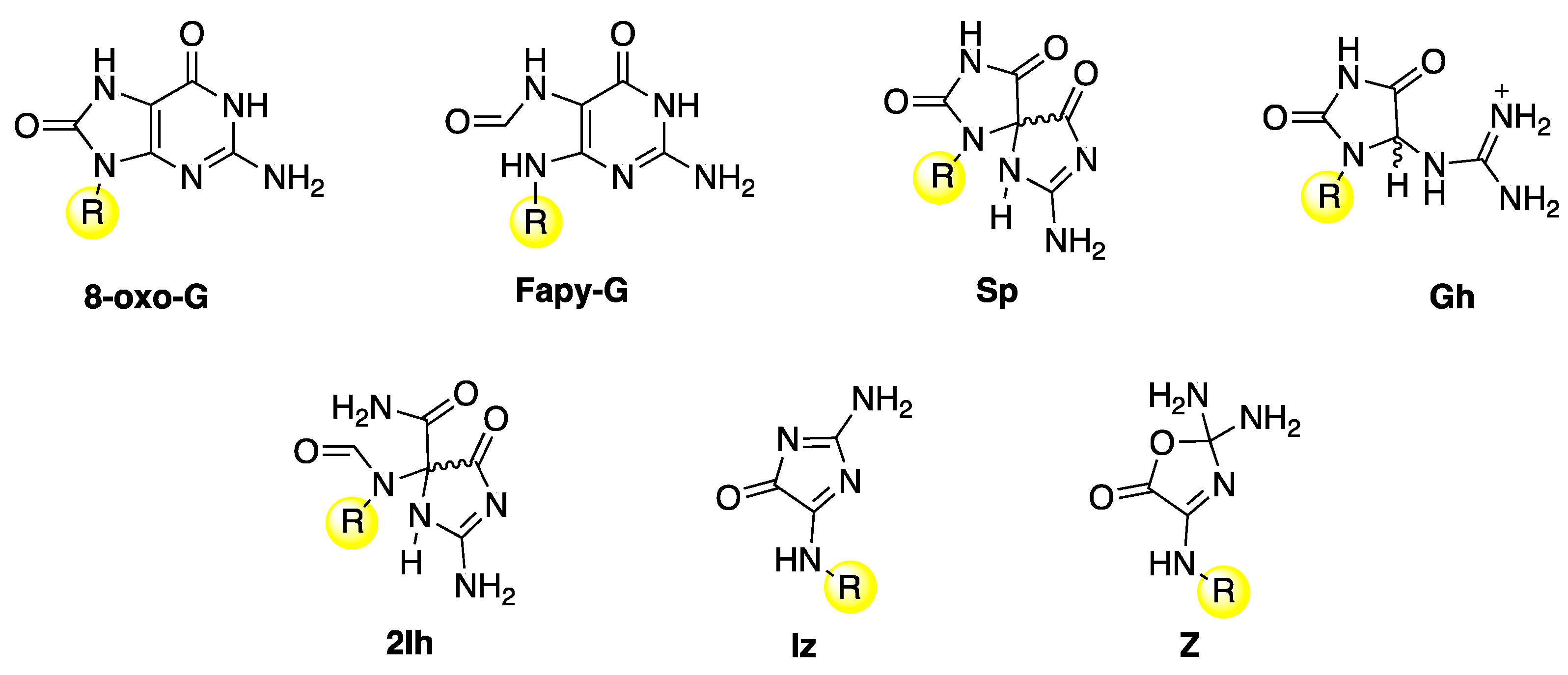 Biomolecules 15 00029 g011