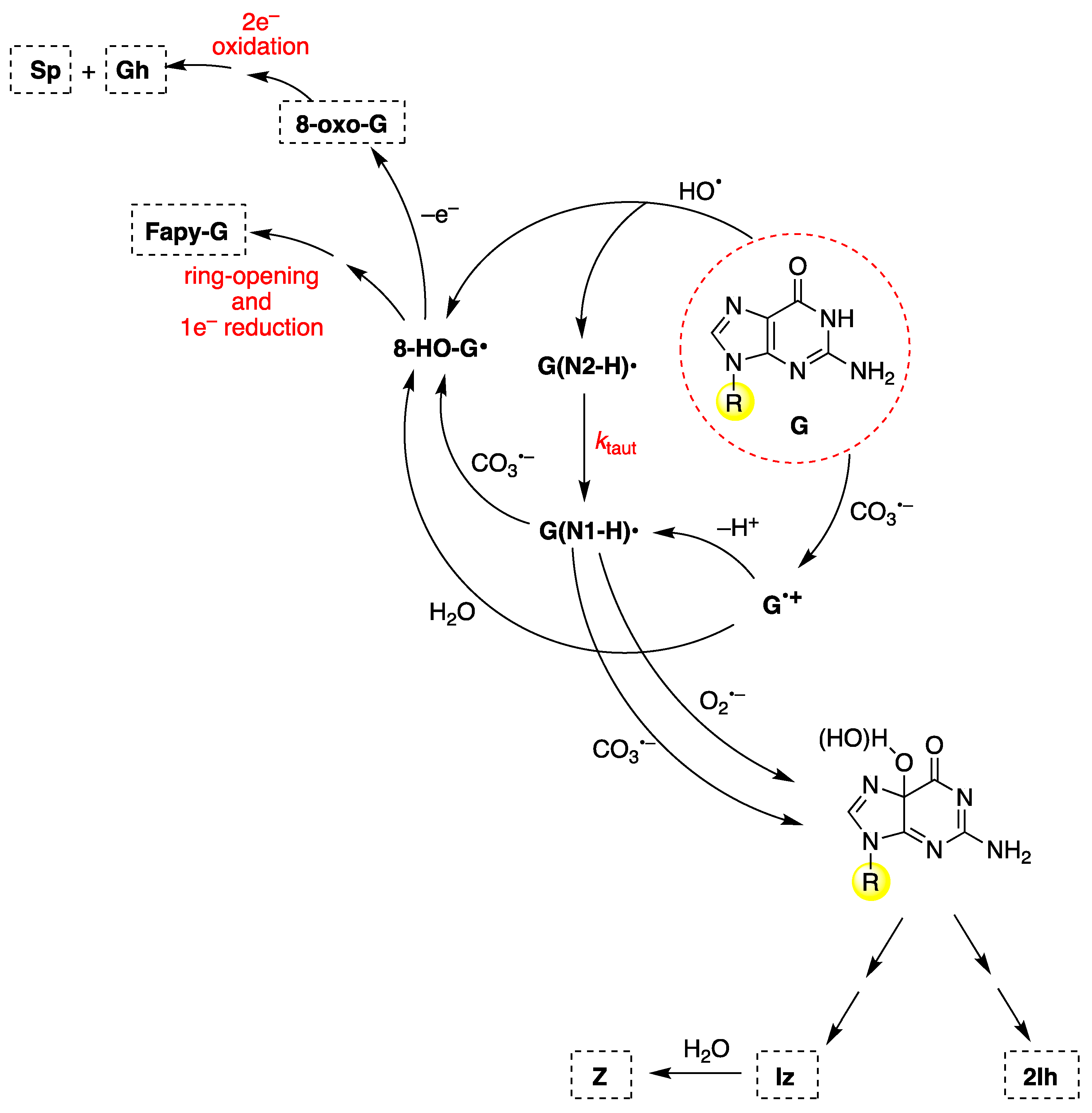 Biomolecules 15 00029 g012