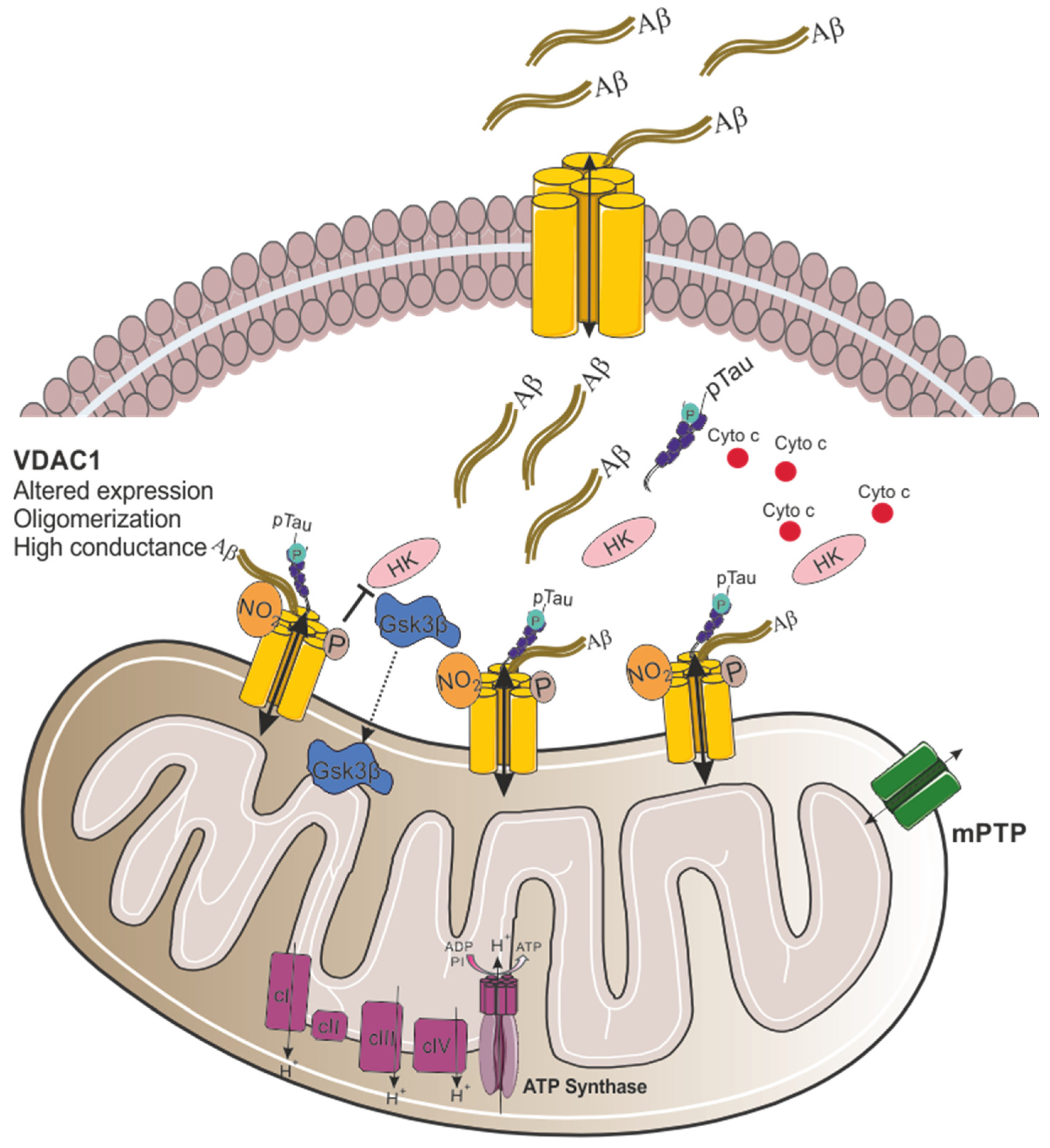 Biomolecules 15 00033 g002