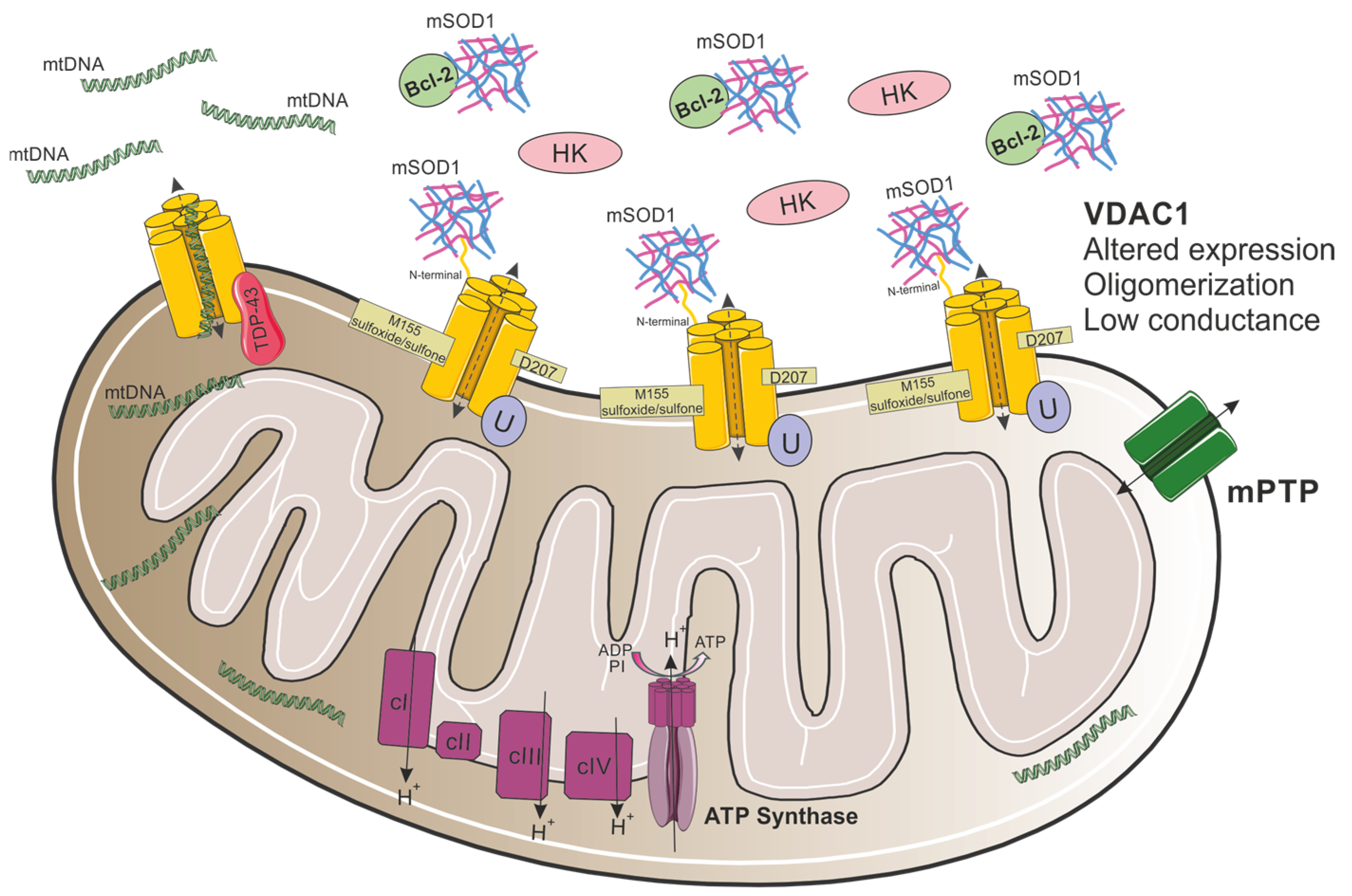 Biomolecules 15 00033 g004