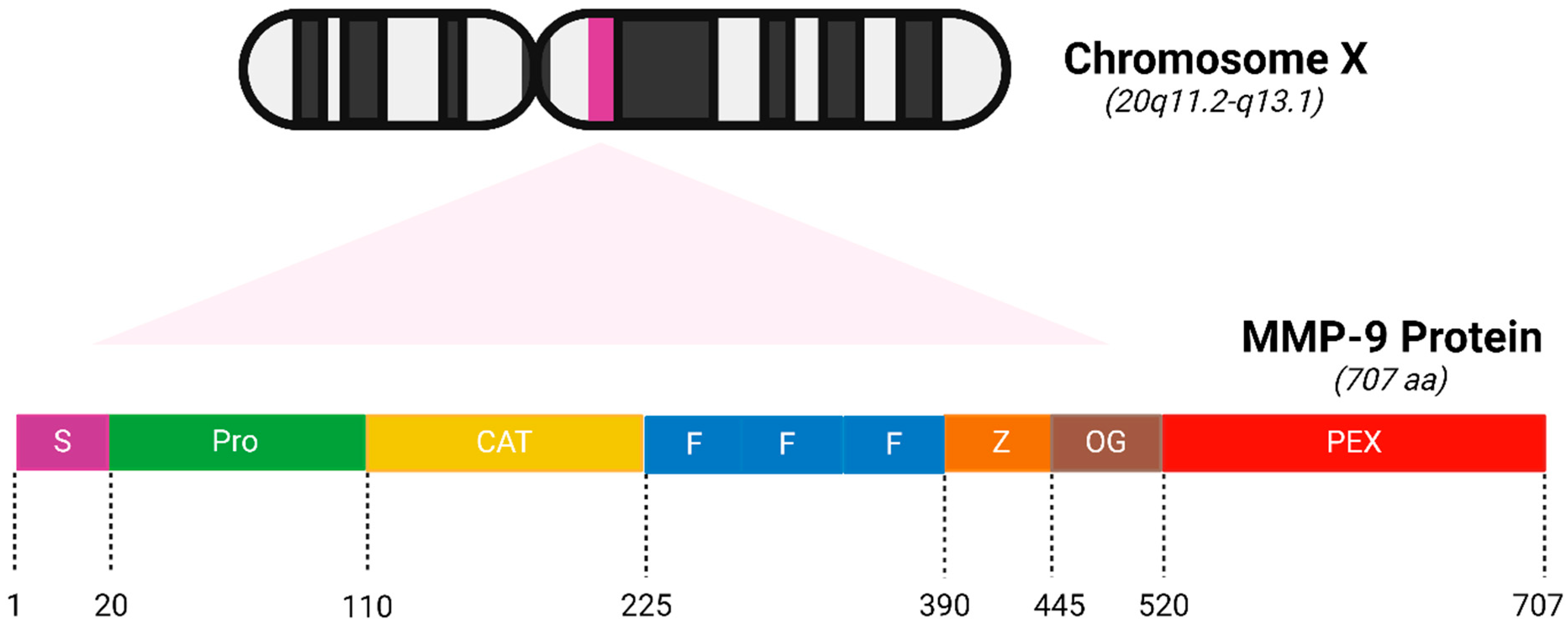 Biomolecules 15 00035 g001 Biomolecules 15 00035 g001