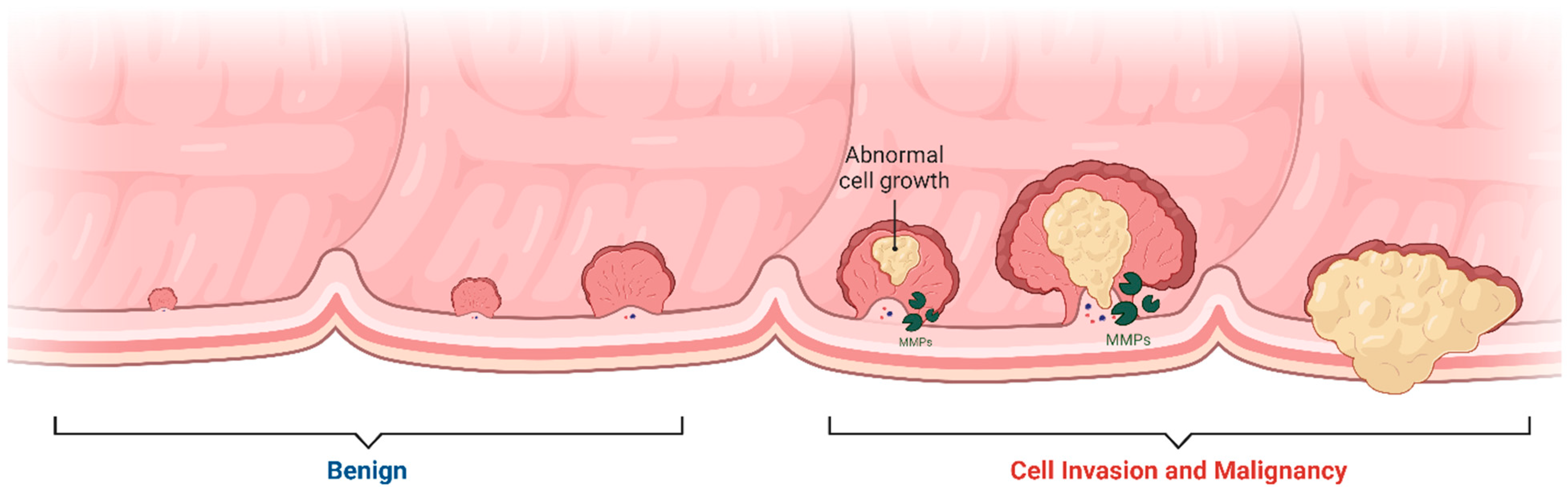 Biomolecules 15 00035 g002 Biomolecules 15 00035 g002