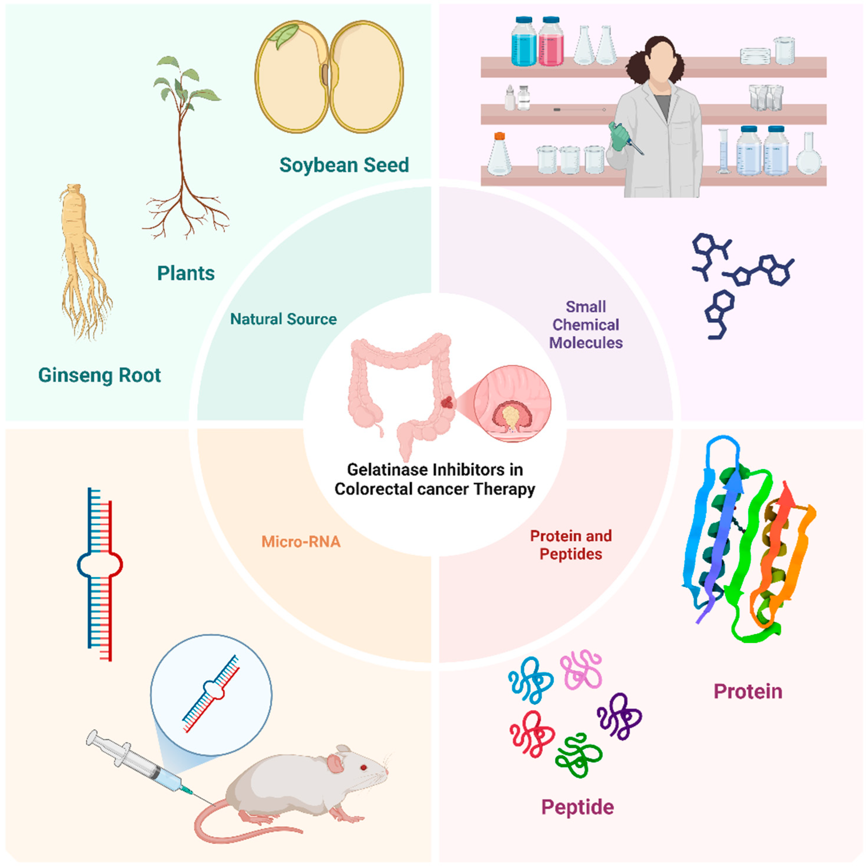 Biomolecules 15 00035 g003 Biomolecules 15 00035 g003