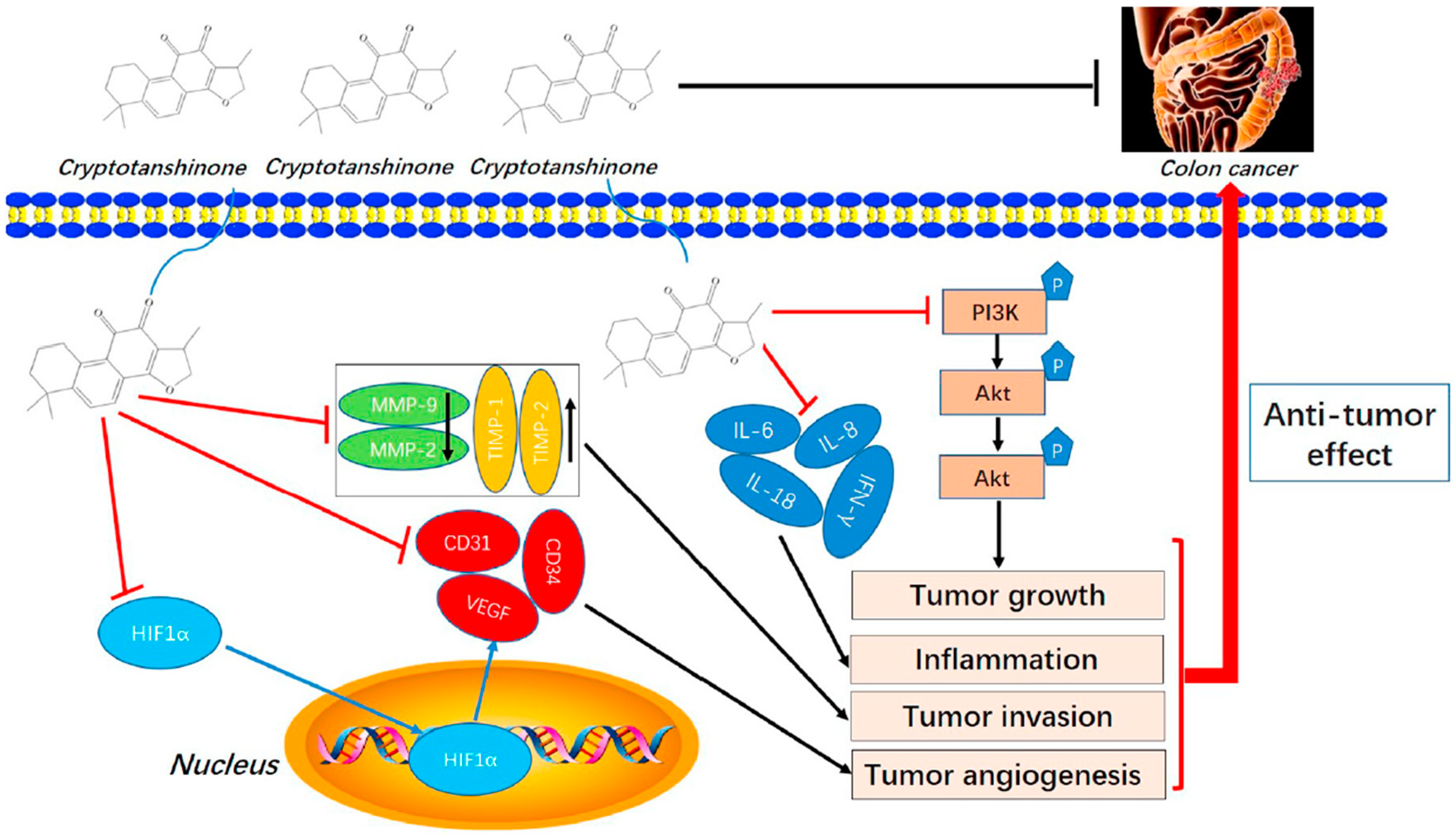 Biomolecules 15 00035 g004 Biomolecules 15 00035 g004