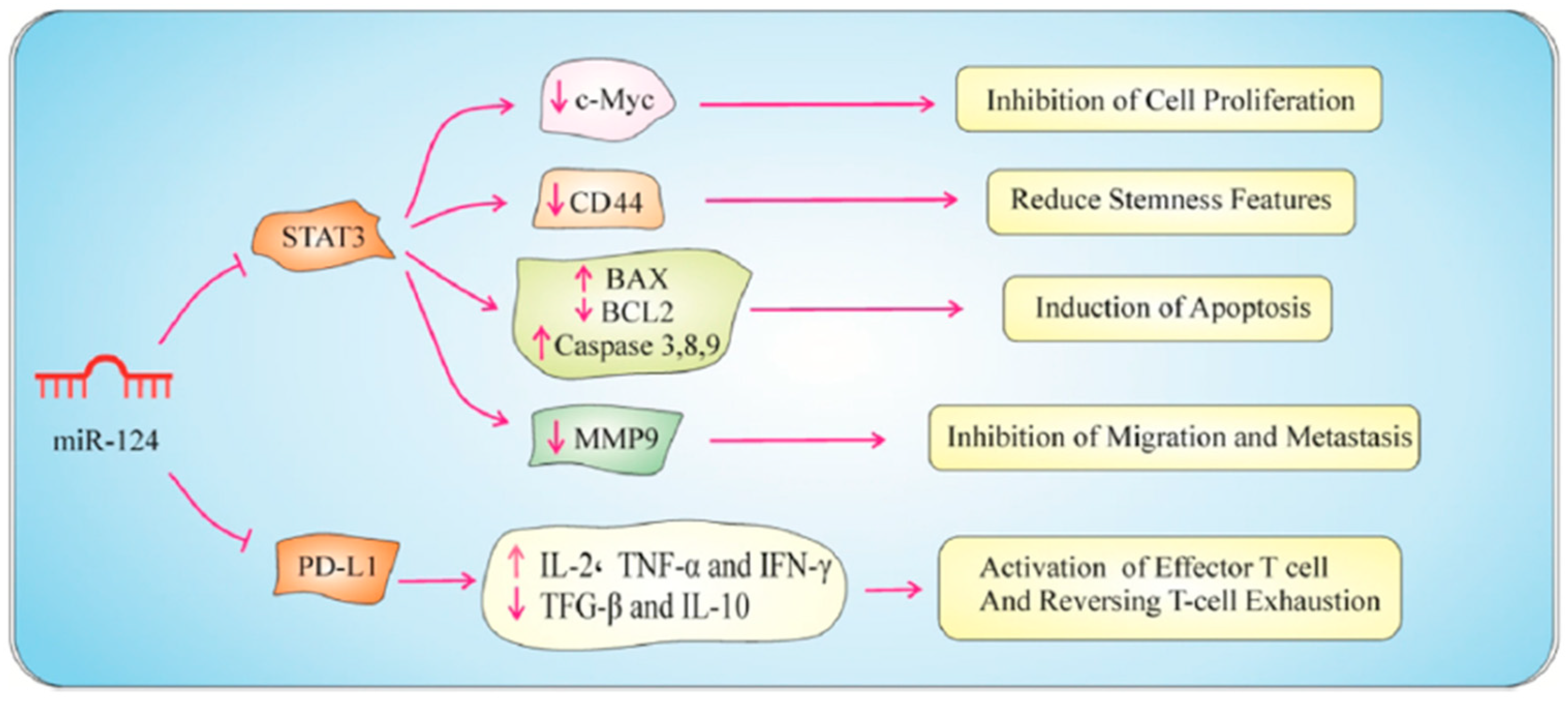 Biomolecules 15 00035 g007 Biomolecules 15 00035 g007