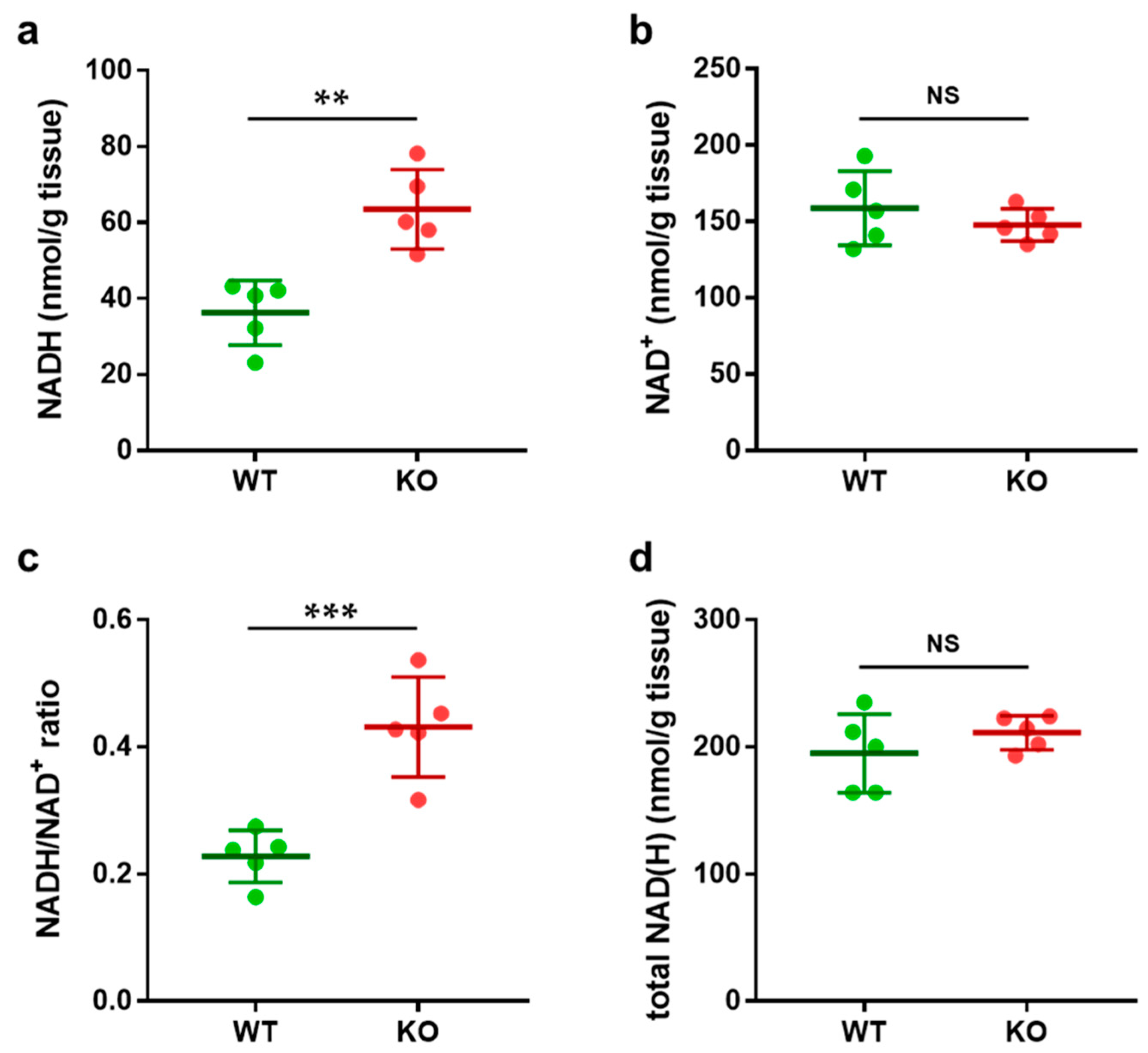 Biomolecules 15 00038 g002