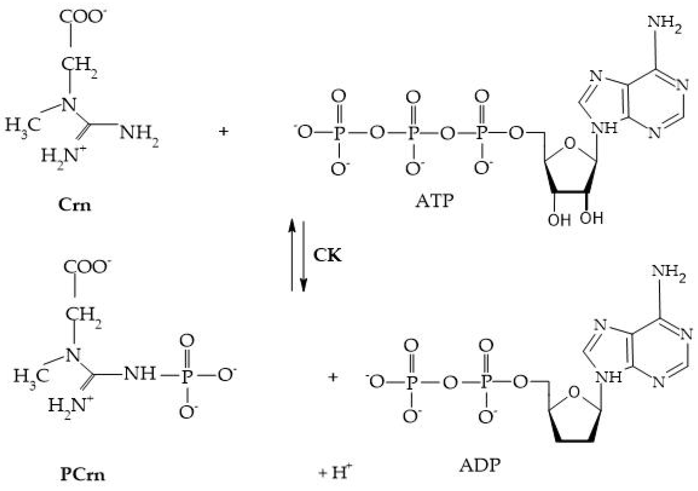 Biomolecules 15 00041 g004