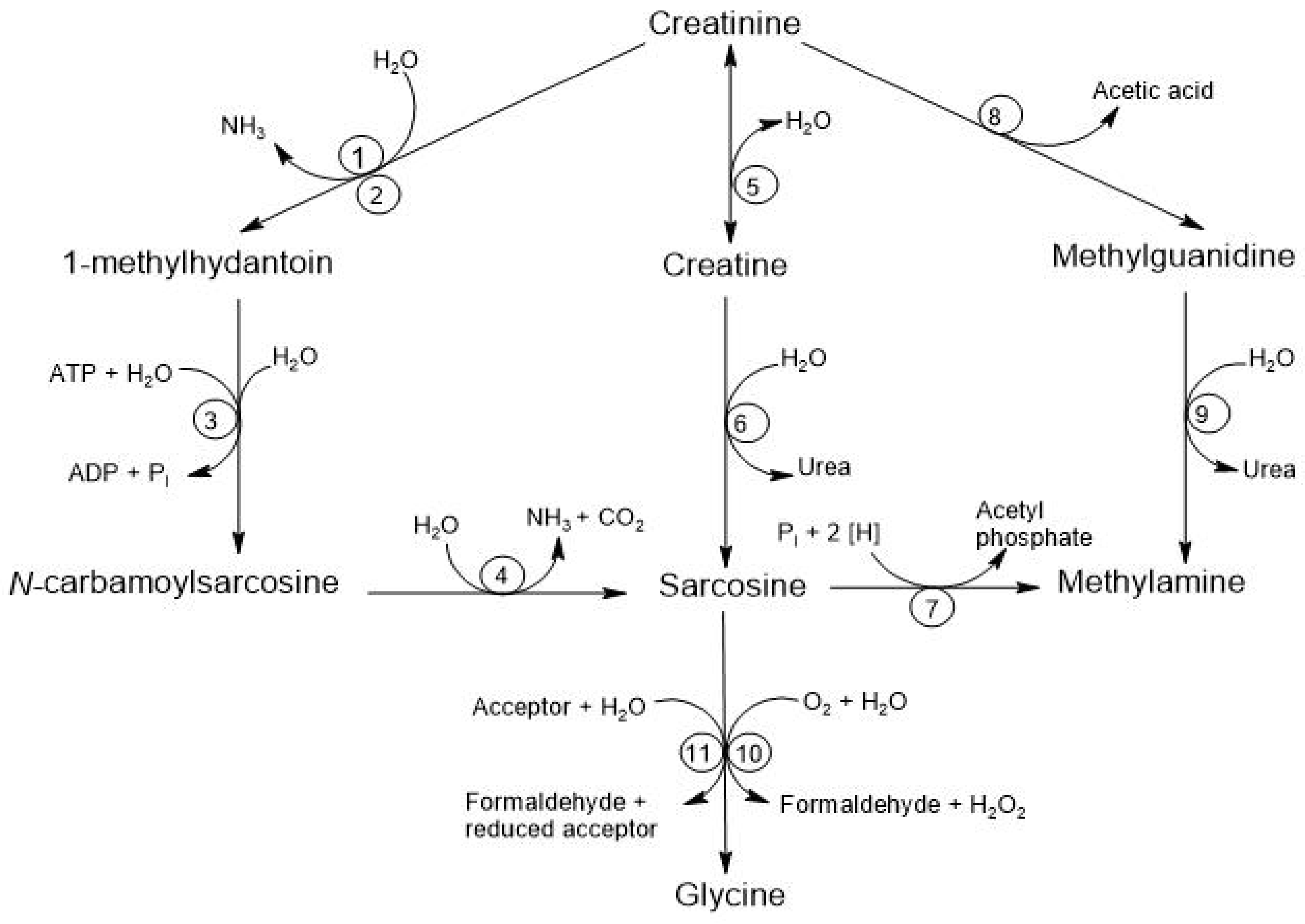 Biomolecules 15 00041 g005