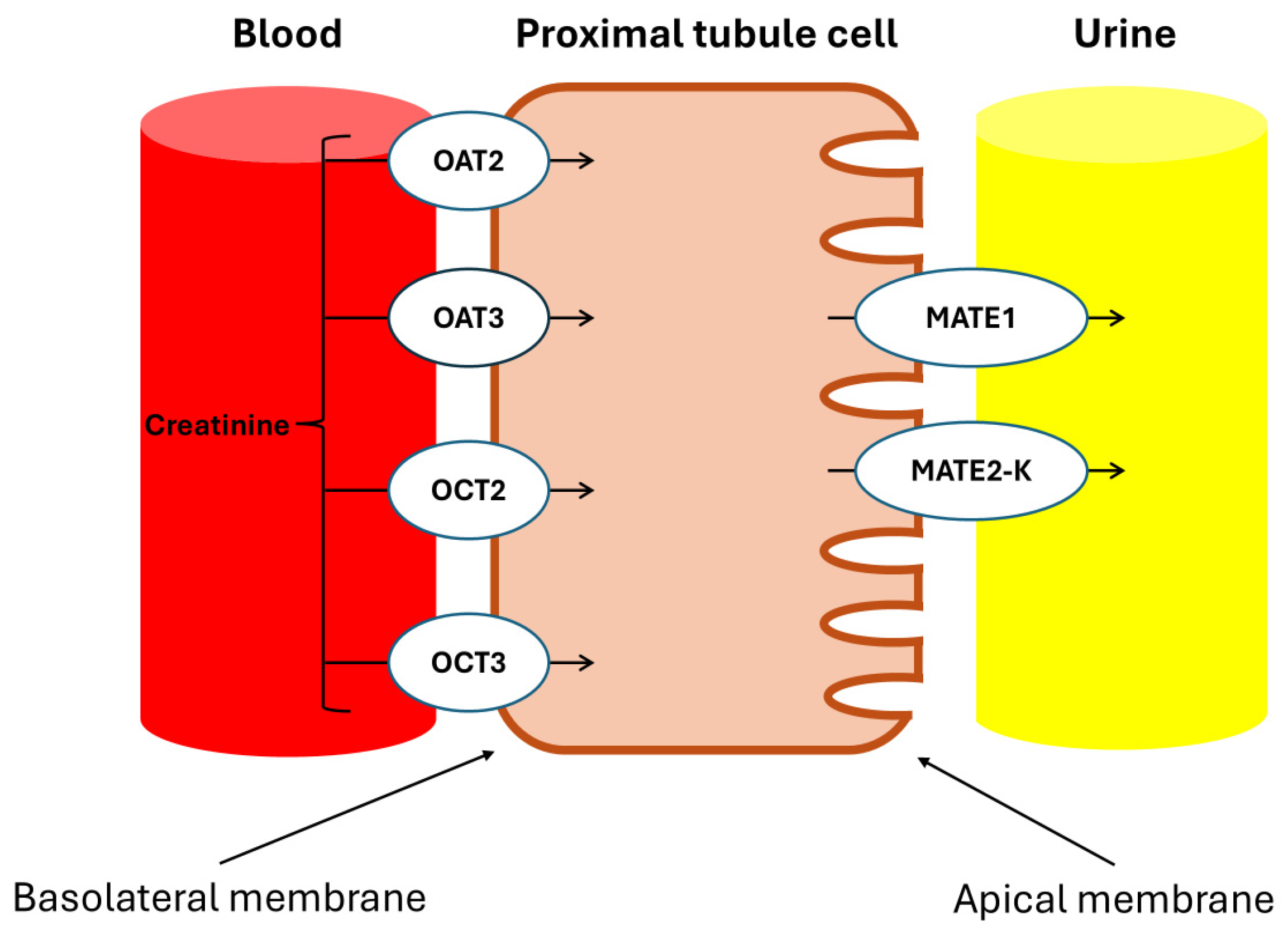 Biomolecules 15 00041 g007