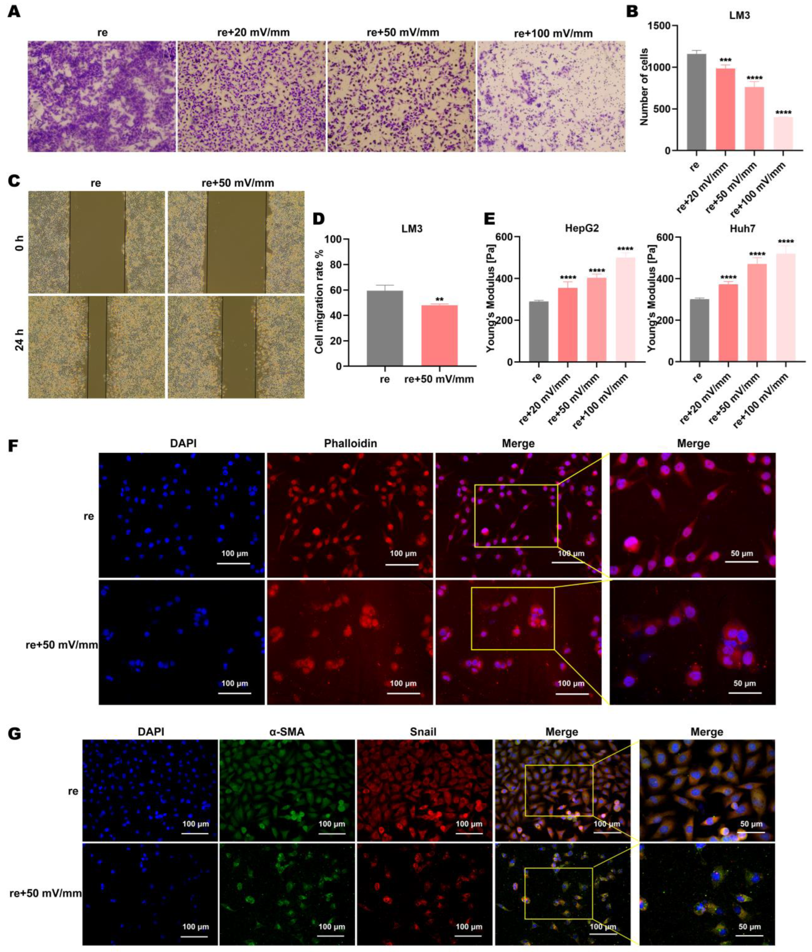 Biomolecules 15 00042 g002