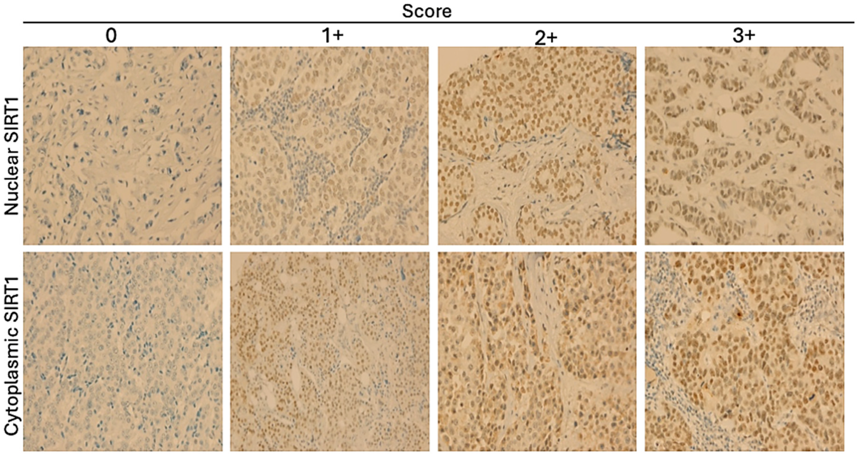Biomolecules 15 00050 g001
