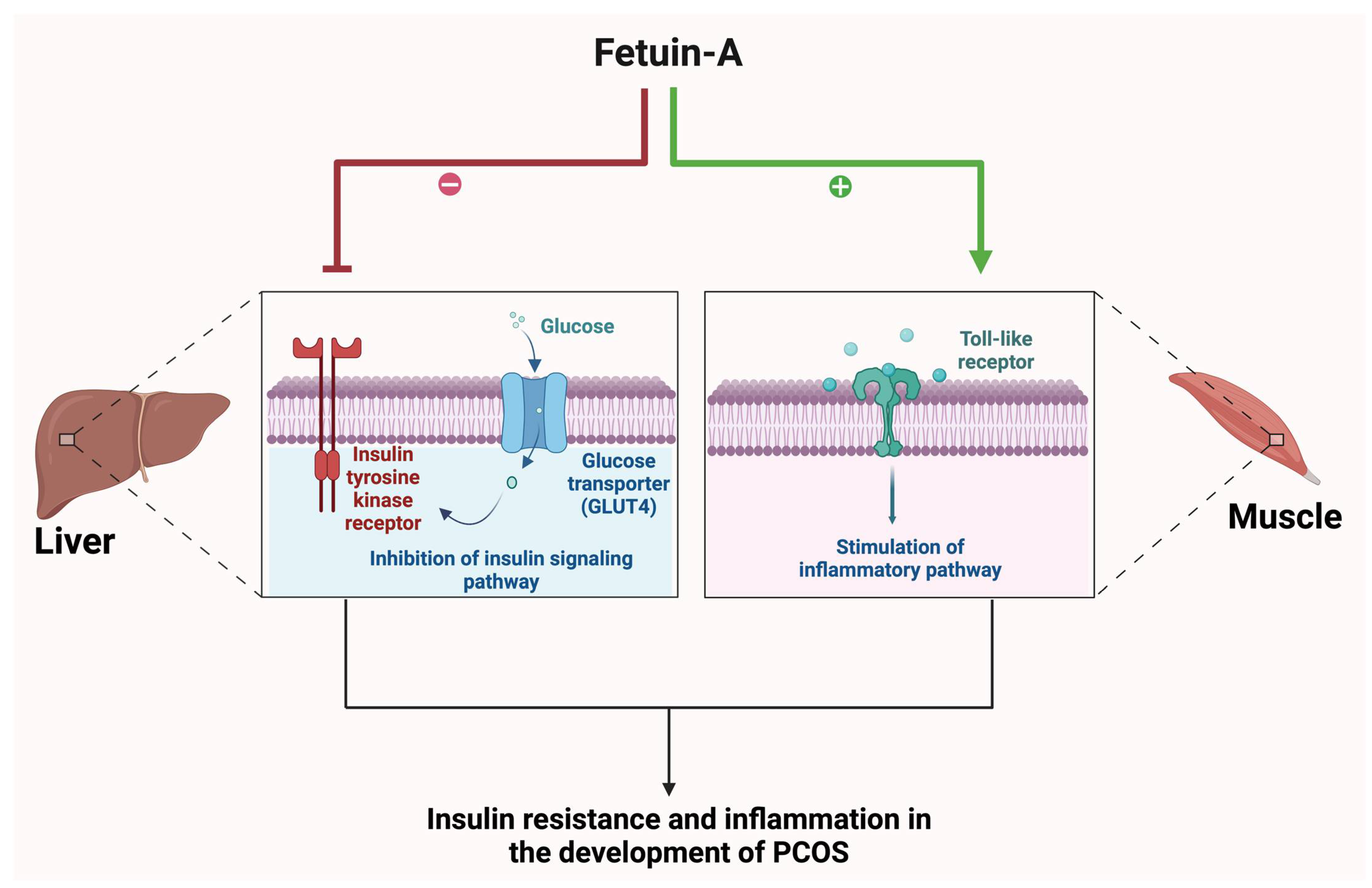 Biomolecules 15 00051 g001