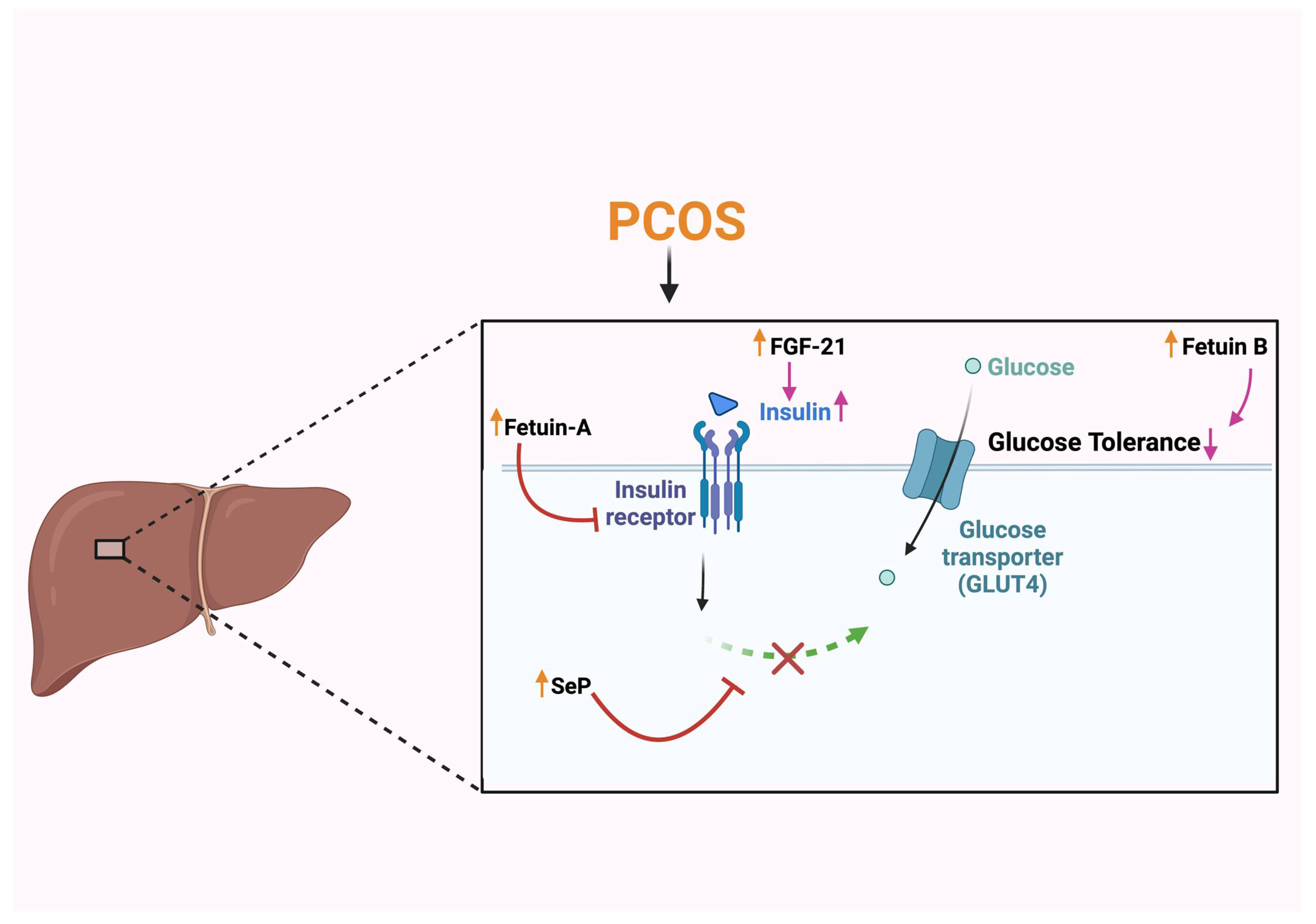 Biomolecules 15 00051 g002